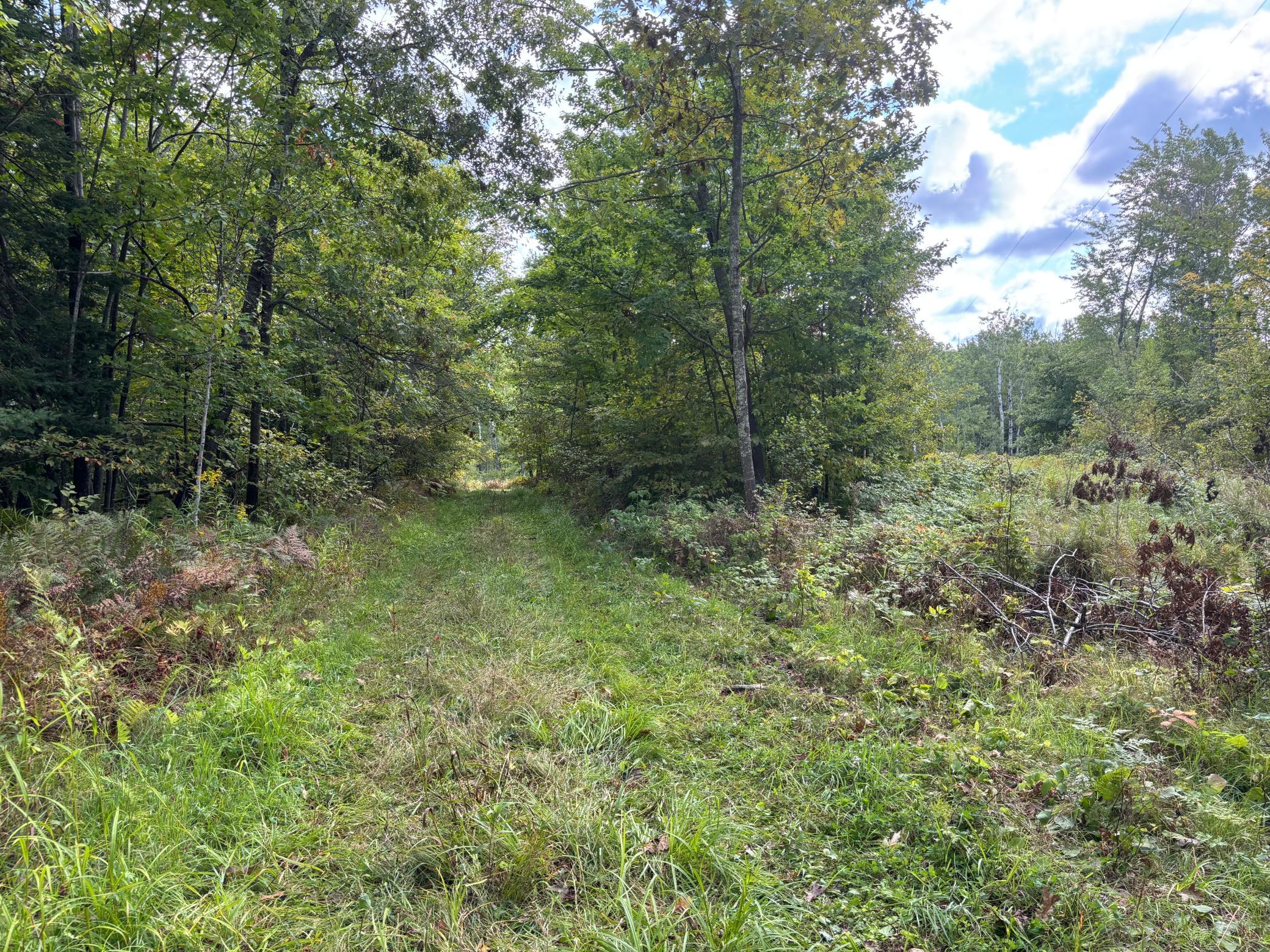 57731 Loon Avenue Property Photo 8
