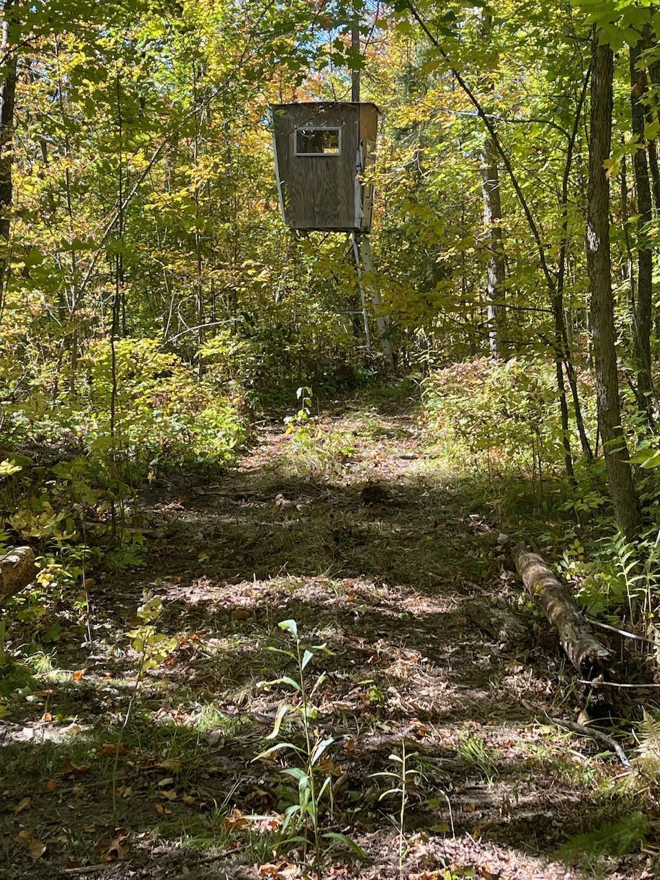 57731 Loon Avenue Property Photo 11