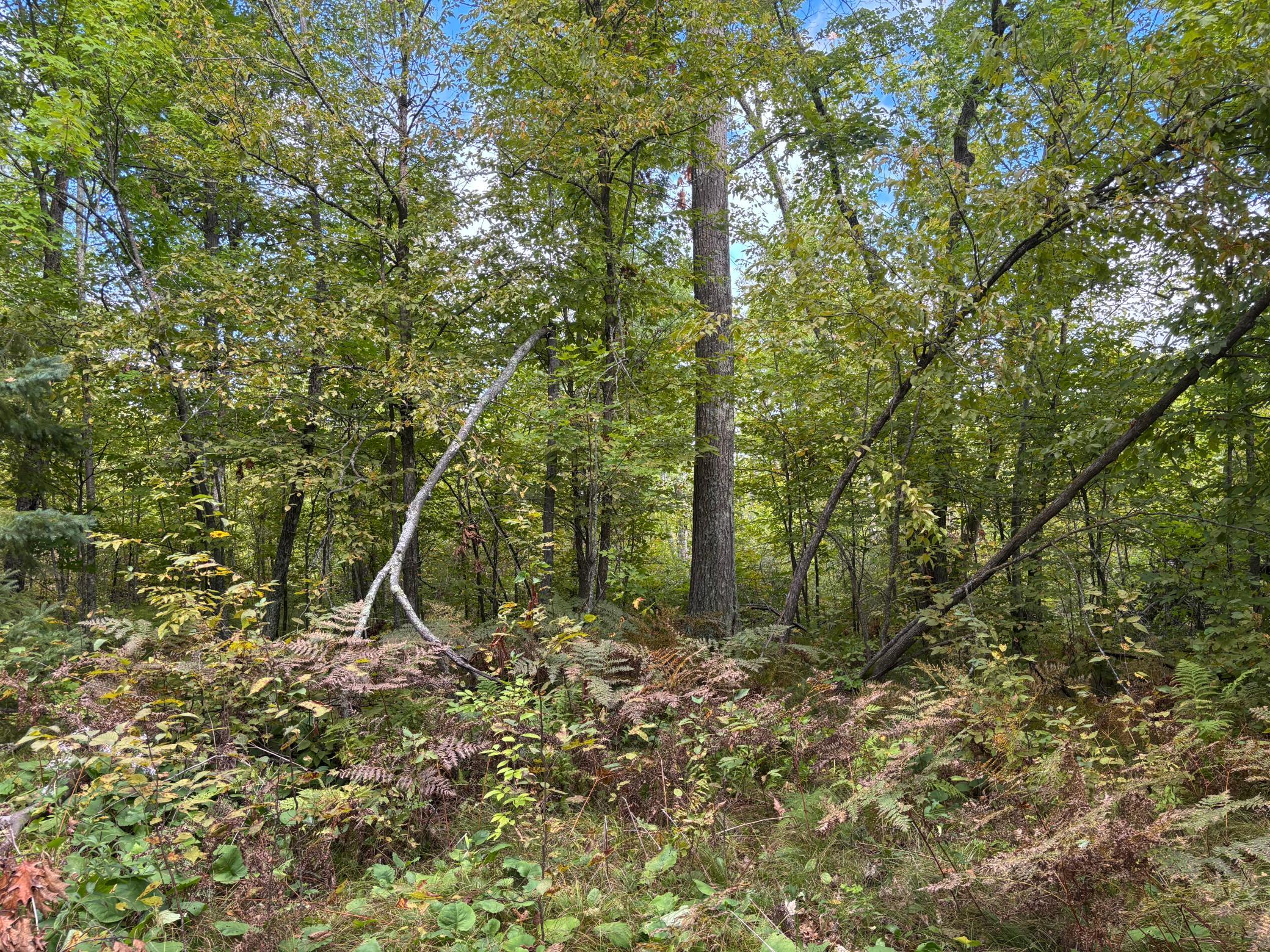 57731 Loon Avenue Property Photo 15