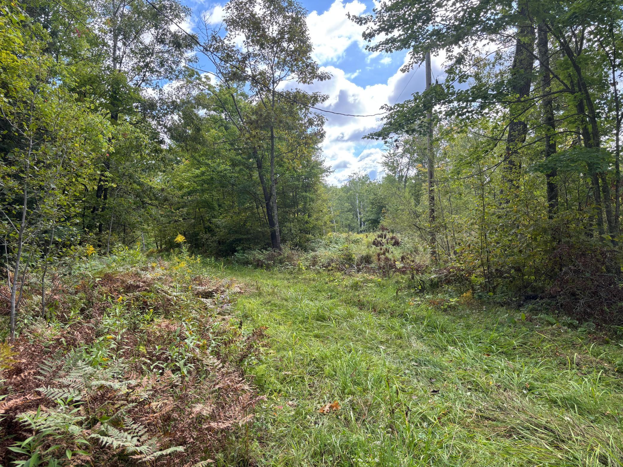 57731 Loon Avenue Property Photo 16