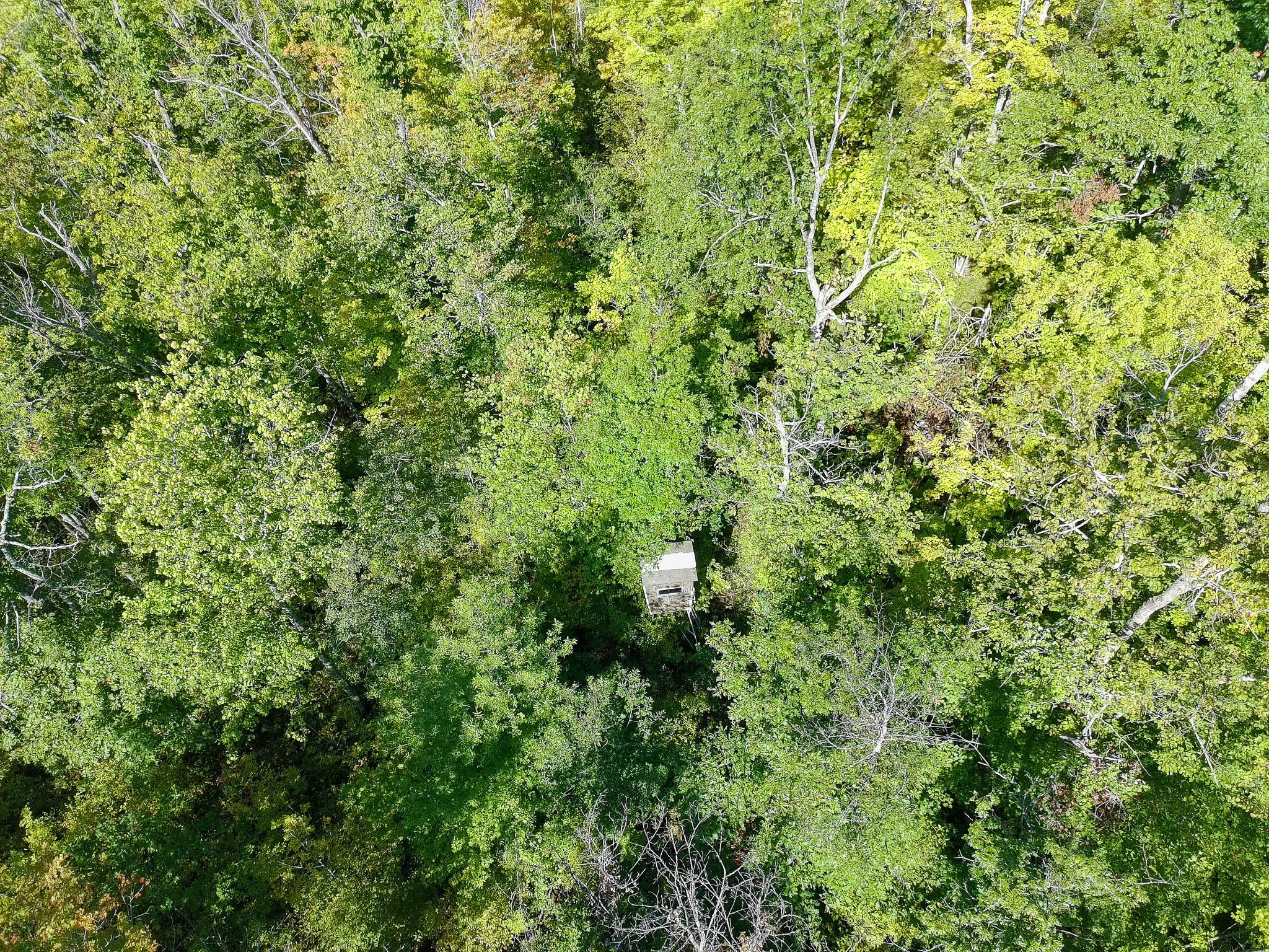57731 Loon Avenue Property Photo 18