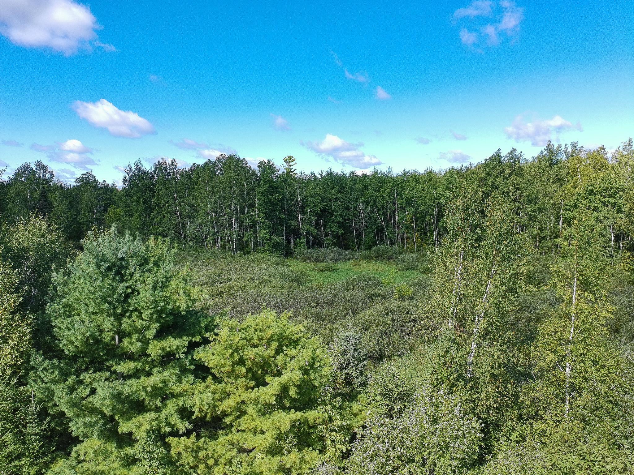 57731 Loon Avenue Property Photo 19