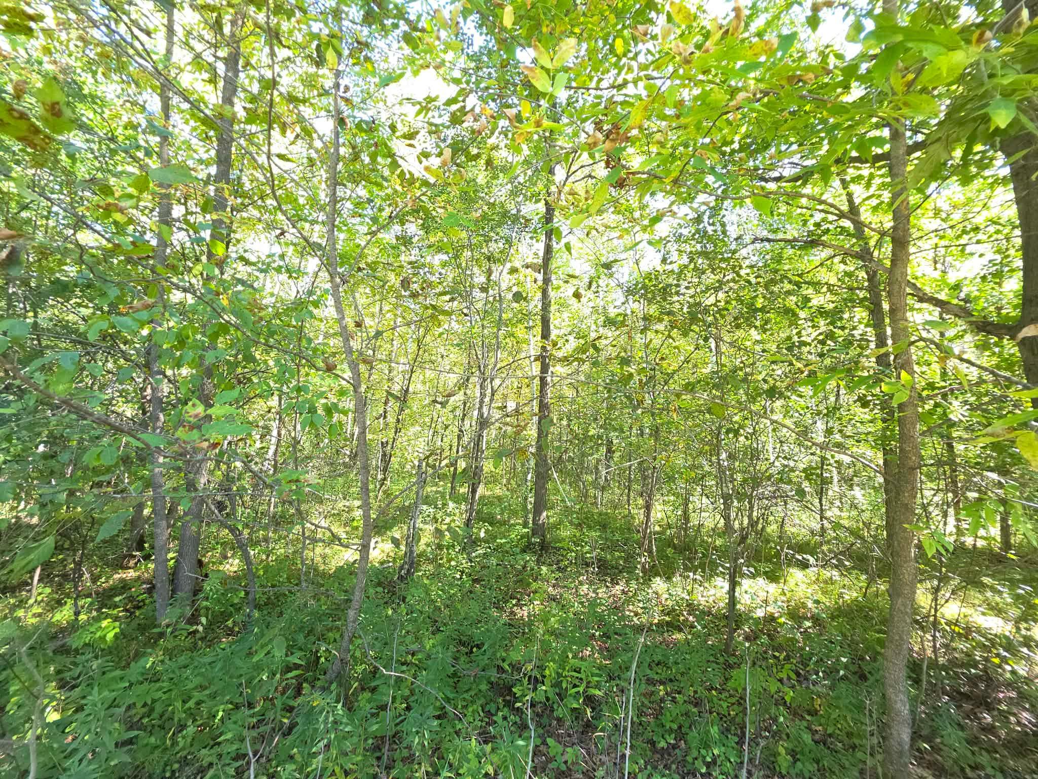 2550 270th Avenue Property Photo 22