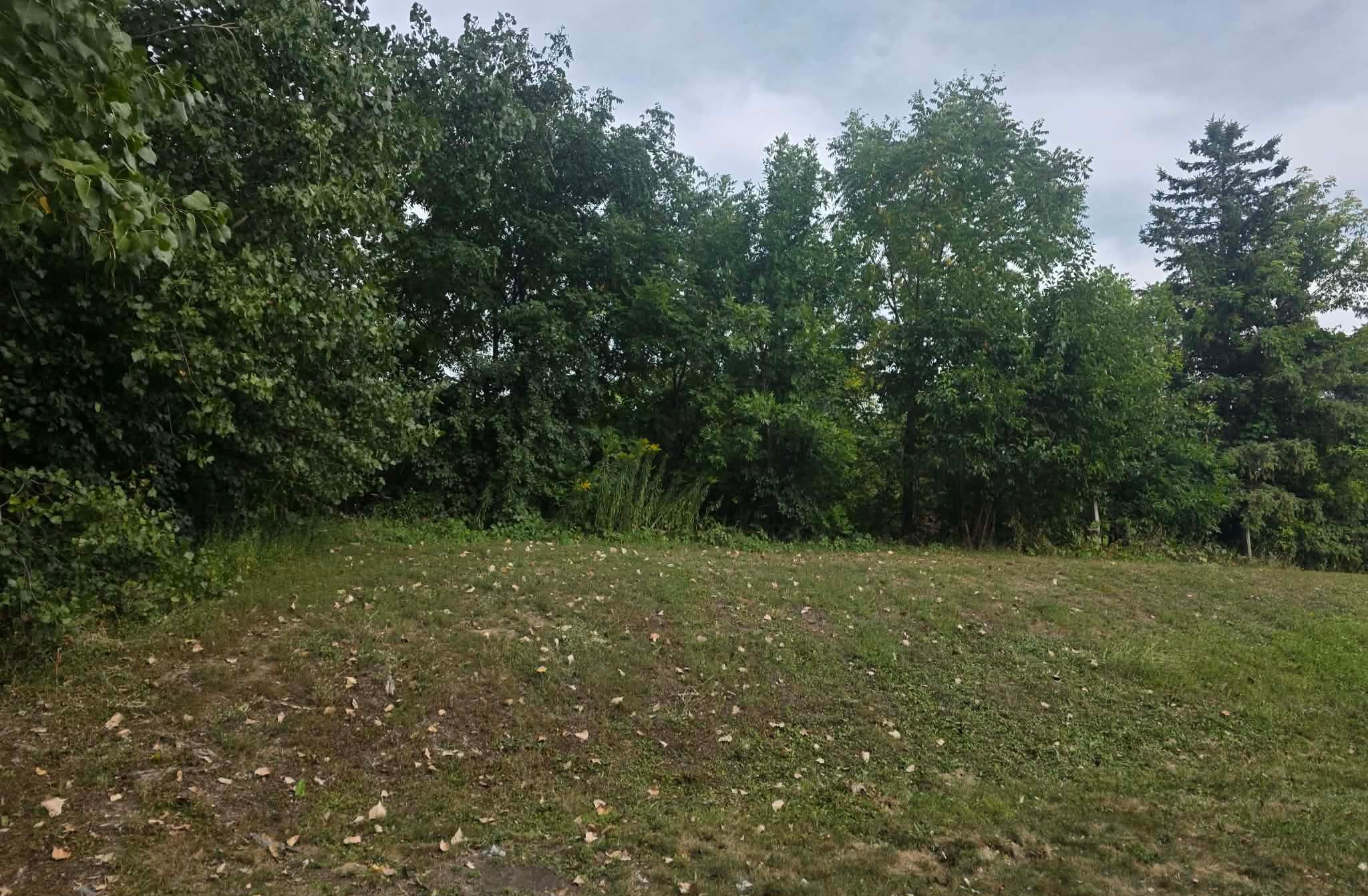 1515 Bender Road Property Photo 10