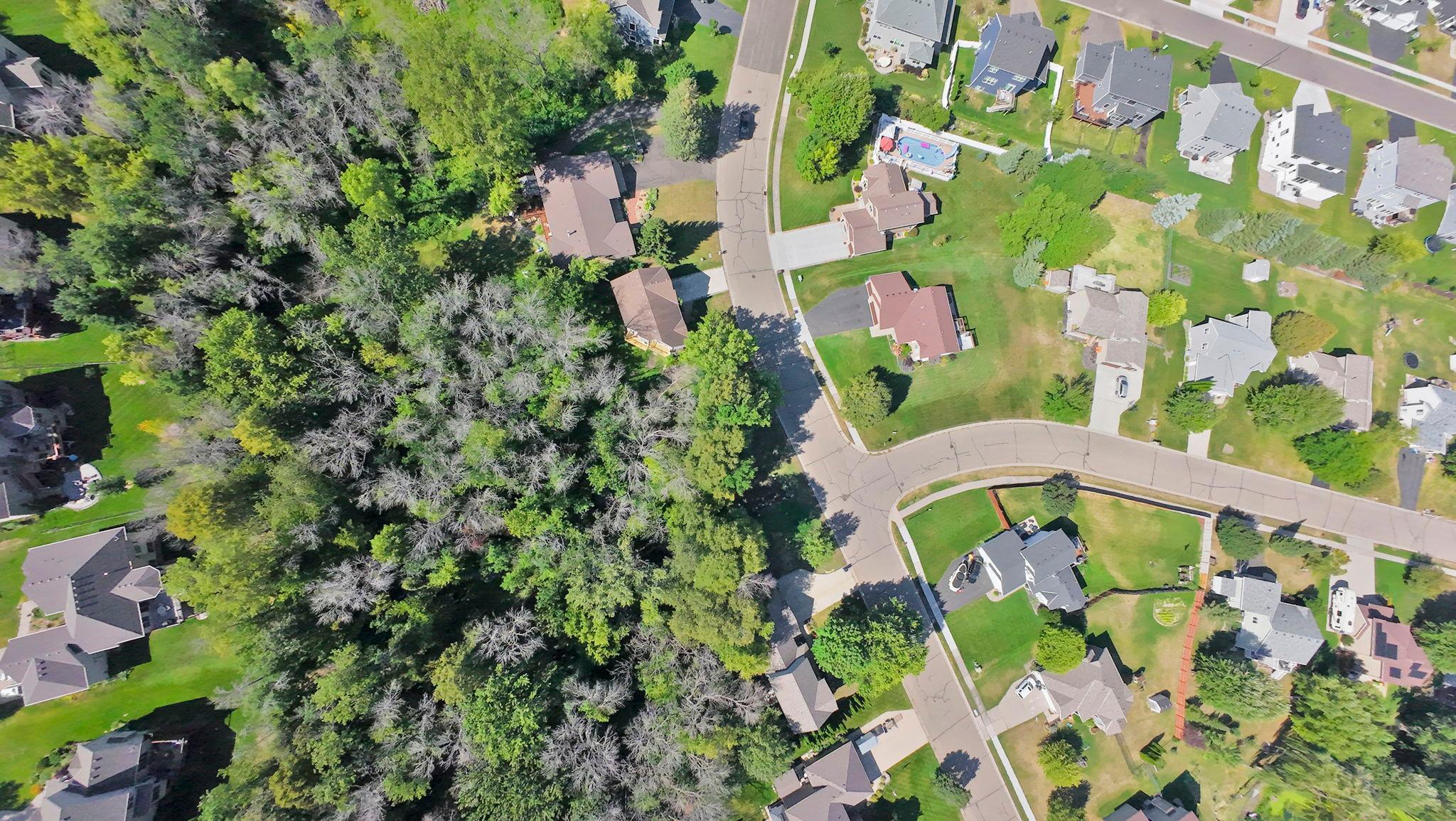7355 Old Mill Road Property Photo 71