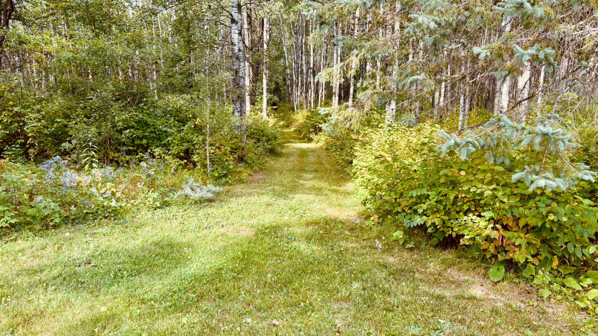 39446 Old Backboard Road Property Photo 24