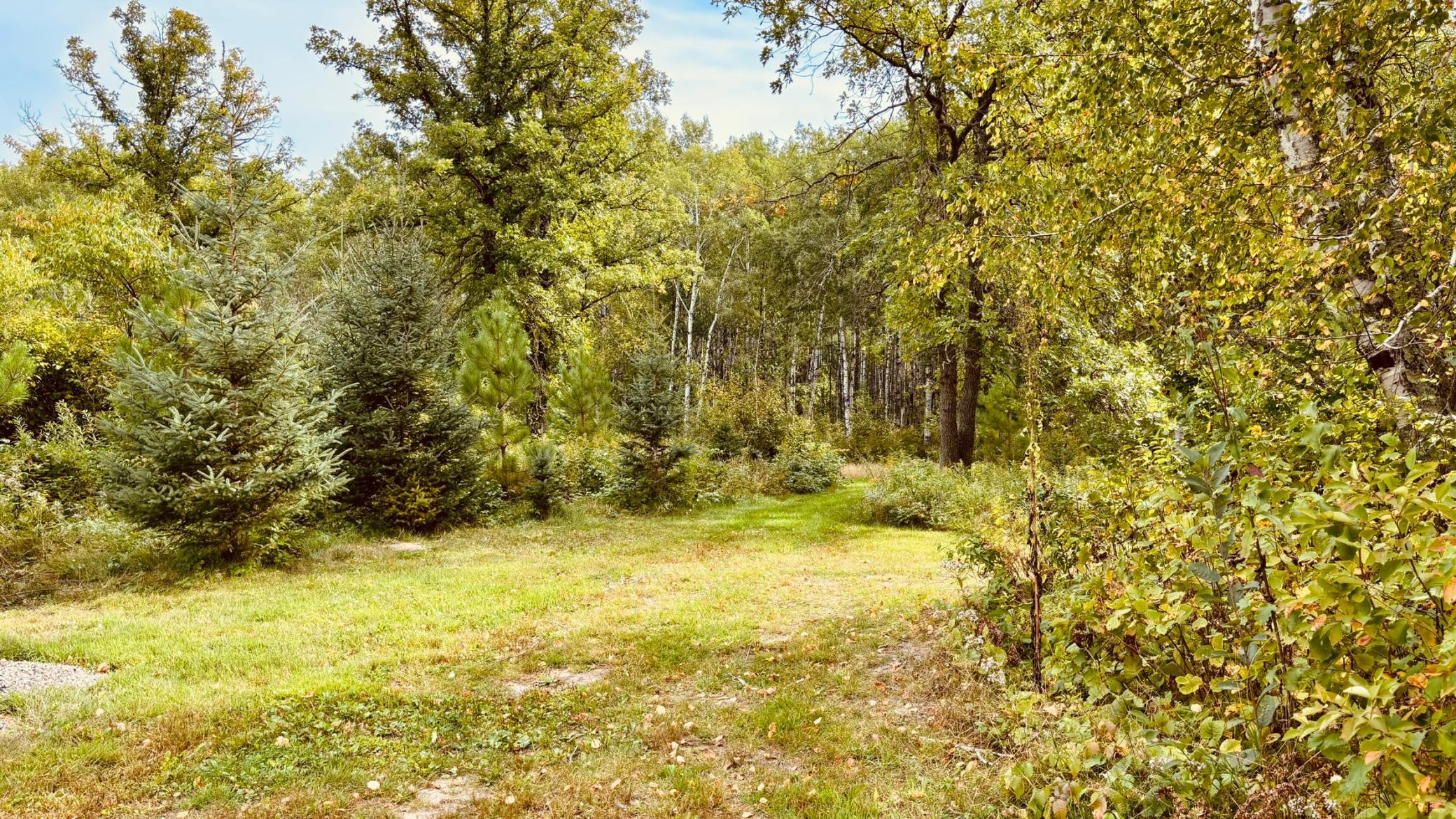 39446 Old Backboard Road Property Photo 26
