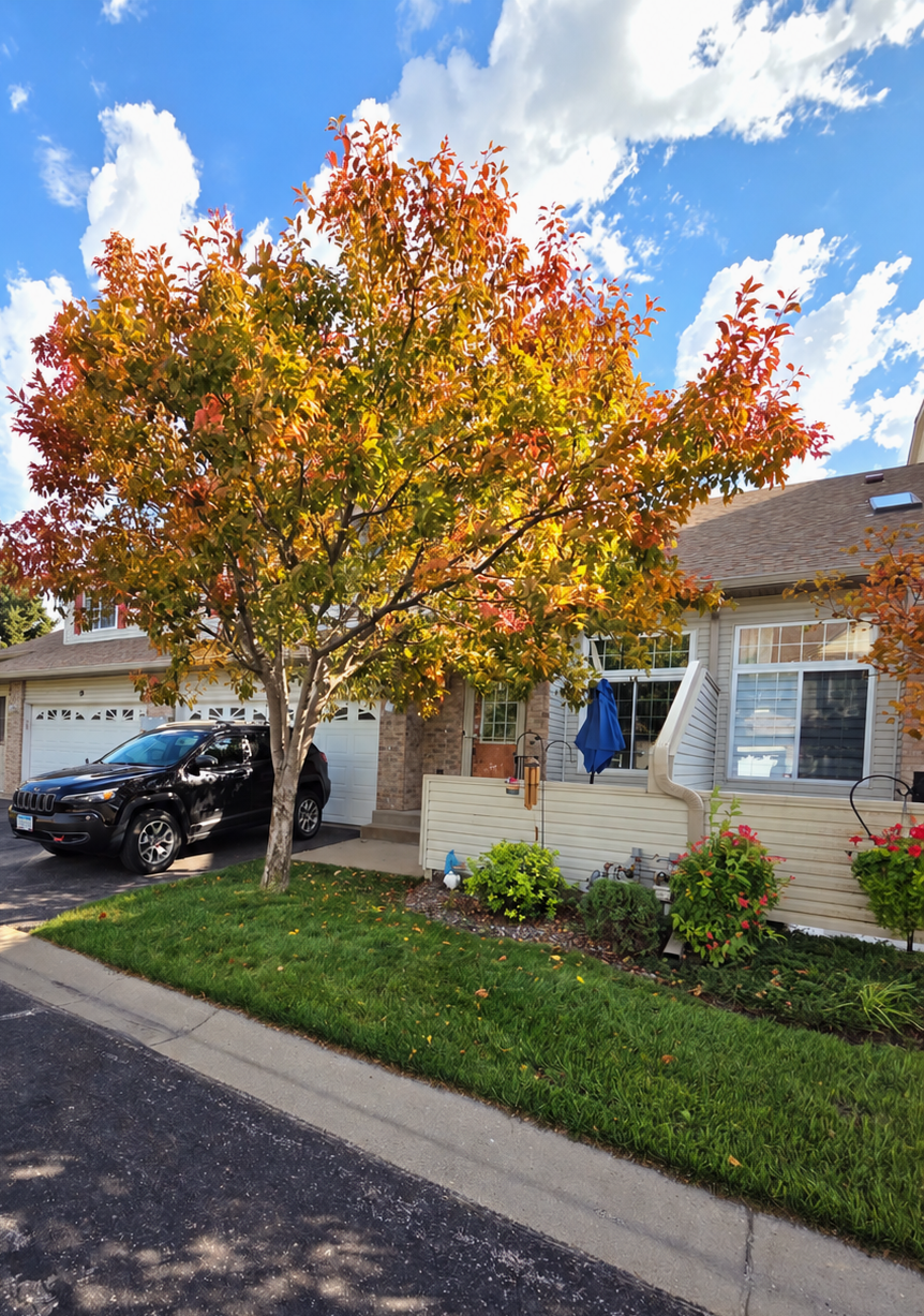 14211 Xenon Street Nw 23nw Property Photo 1