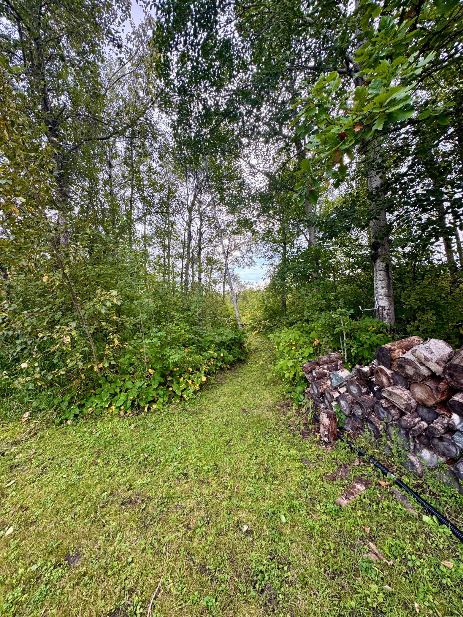 40427 State Highway 313 Property Photo 28