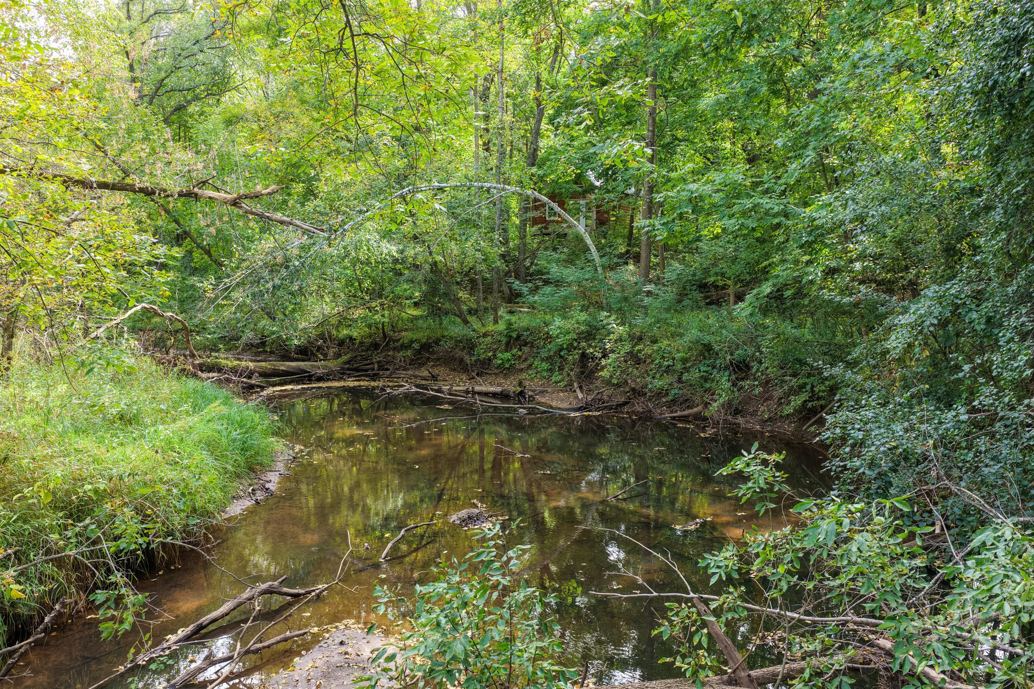 1544 Highway 47 Property Photo 35