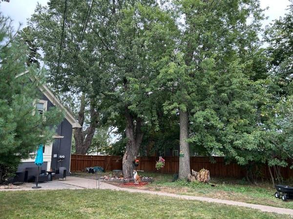 6124 4th Avenue S 2 Property Photo 20