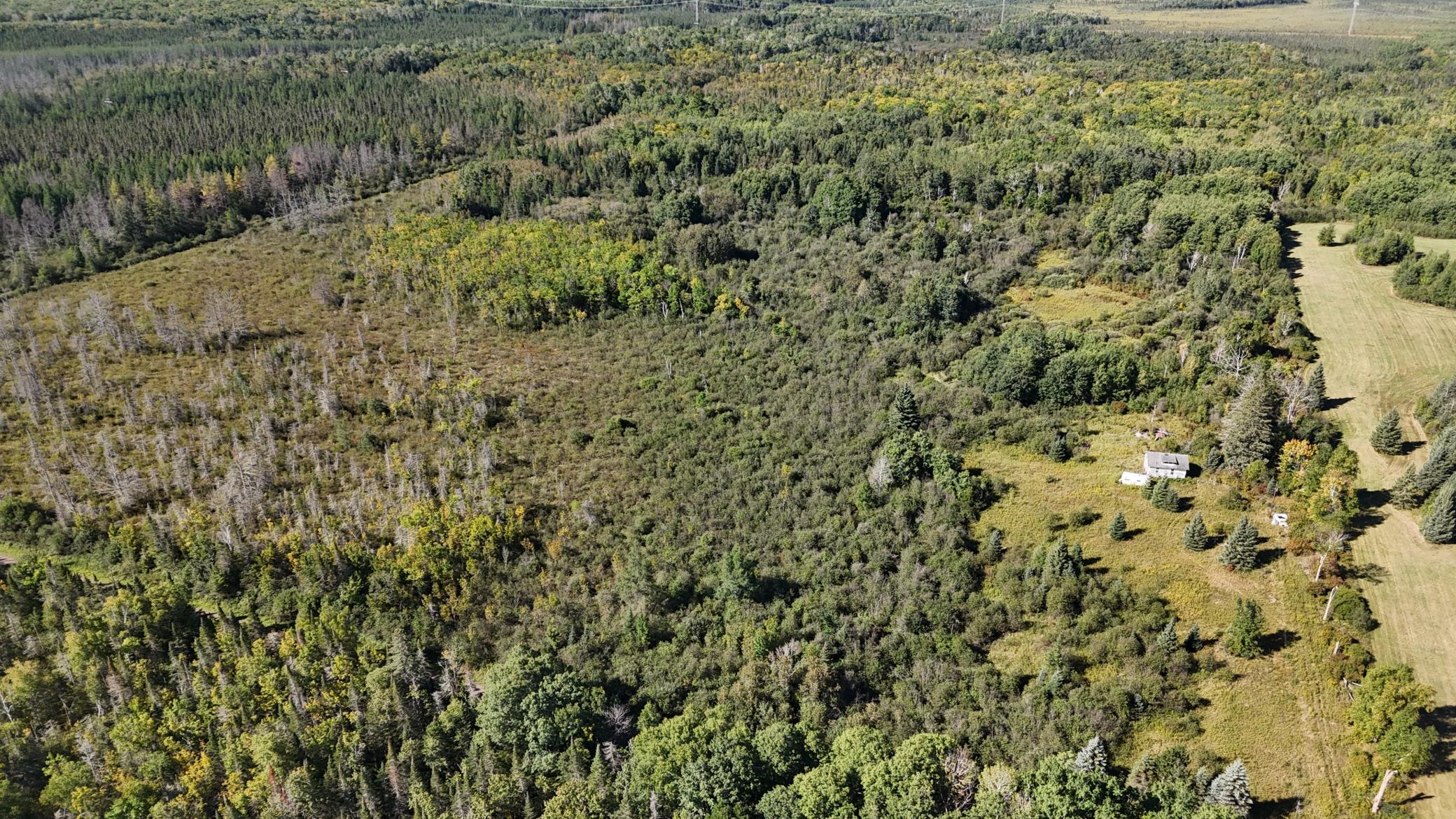 Tbd Salo Rd Property Photo 2