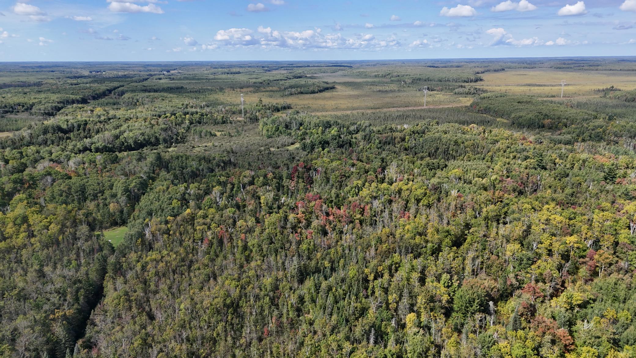 Tbd Salo Rd Property Photo 3