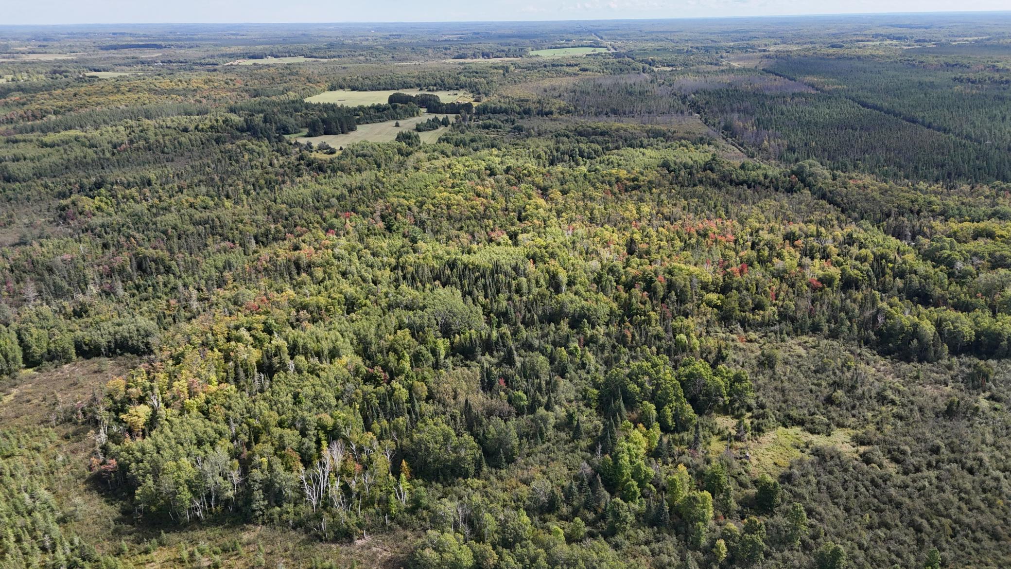 Tbd Salo Rd Property Photo 5