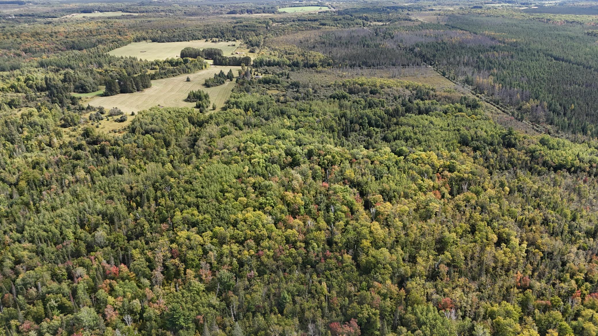 Tbd Salo Rd Property Photo 6