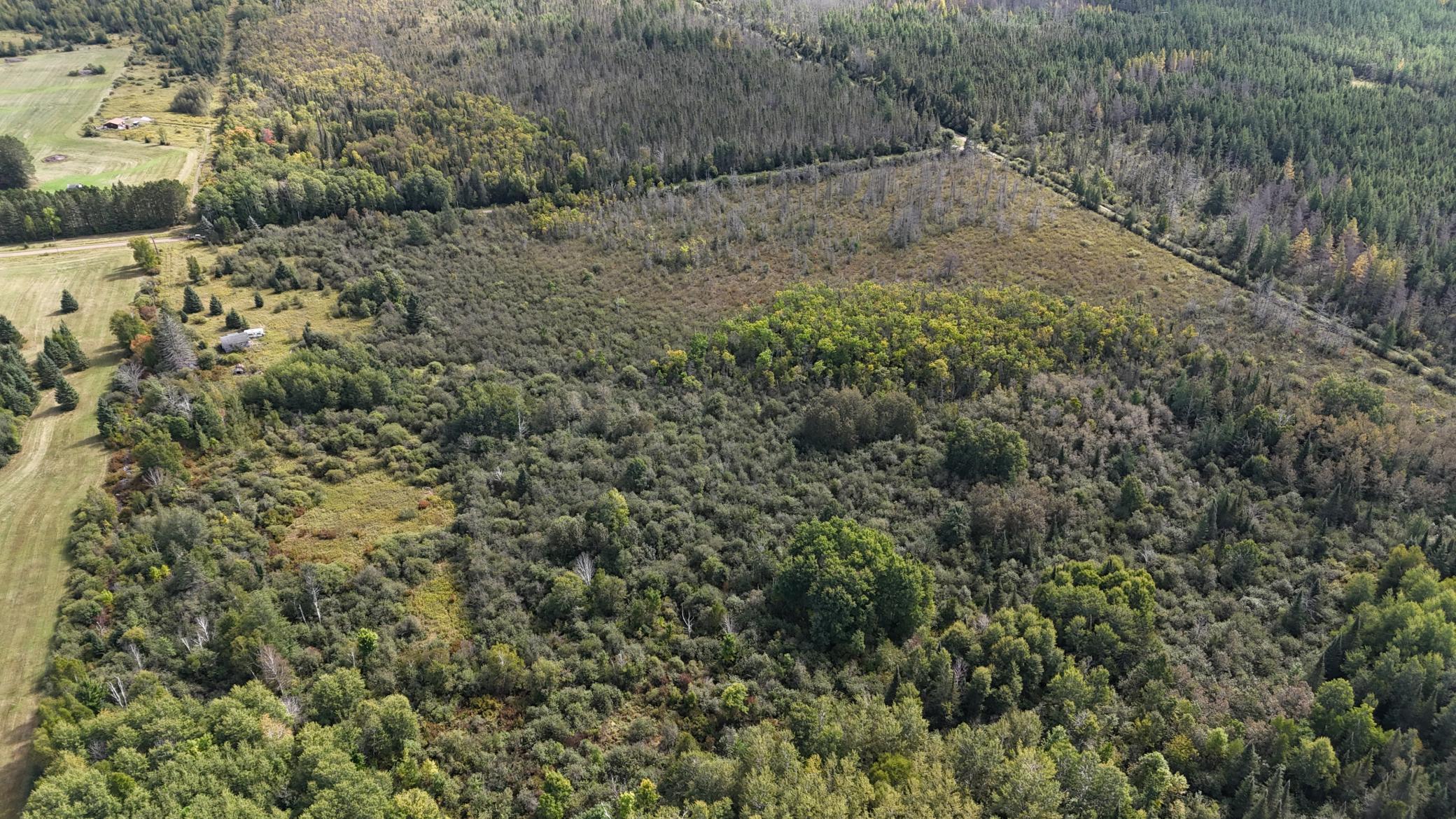 Tbd Salo Rd Property Photo 7