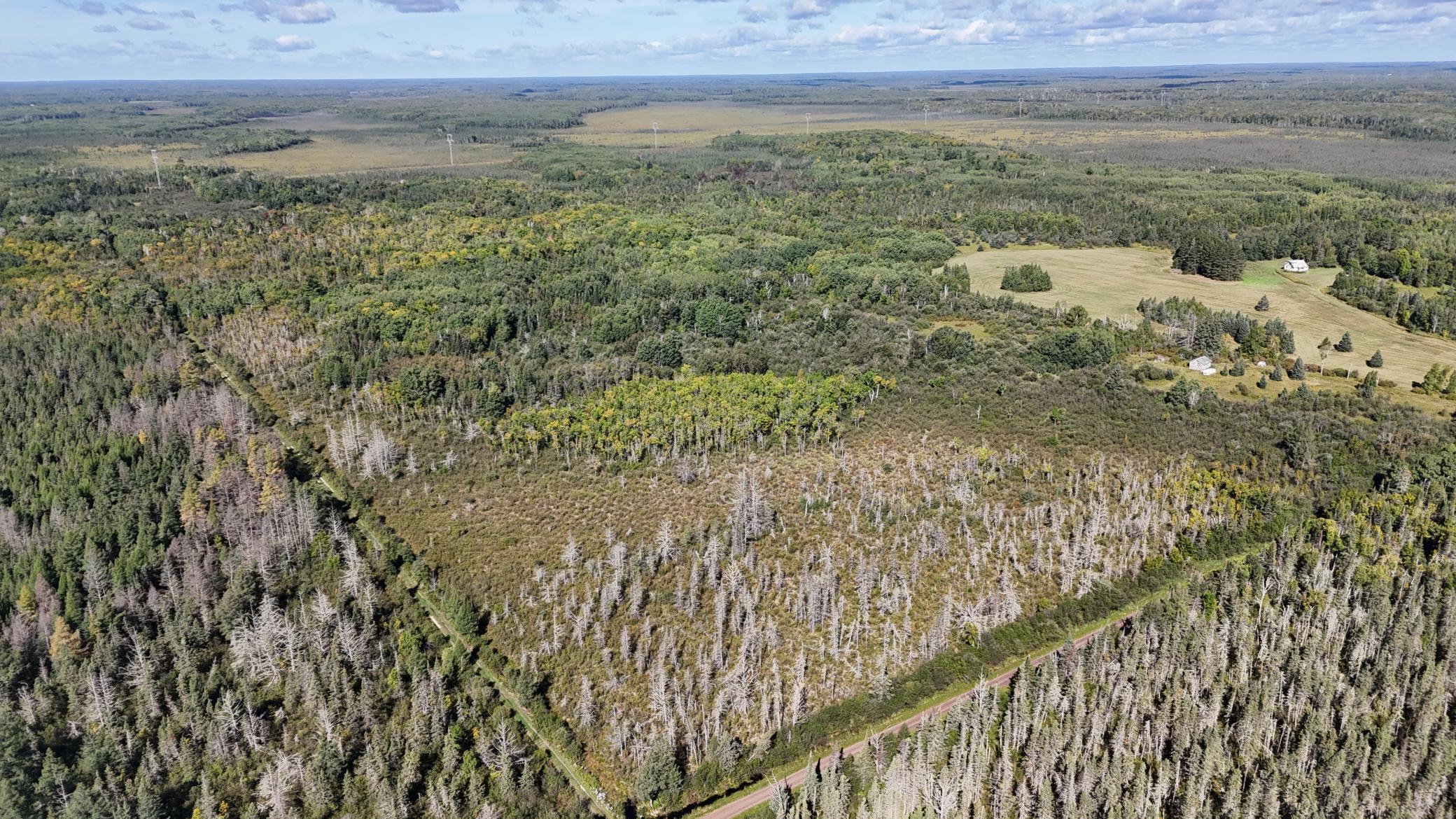 Tbd Salo Rd Property Photo 8