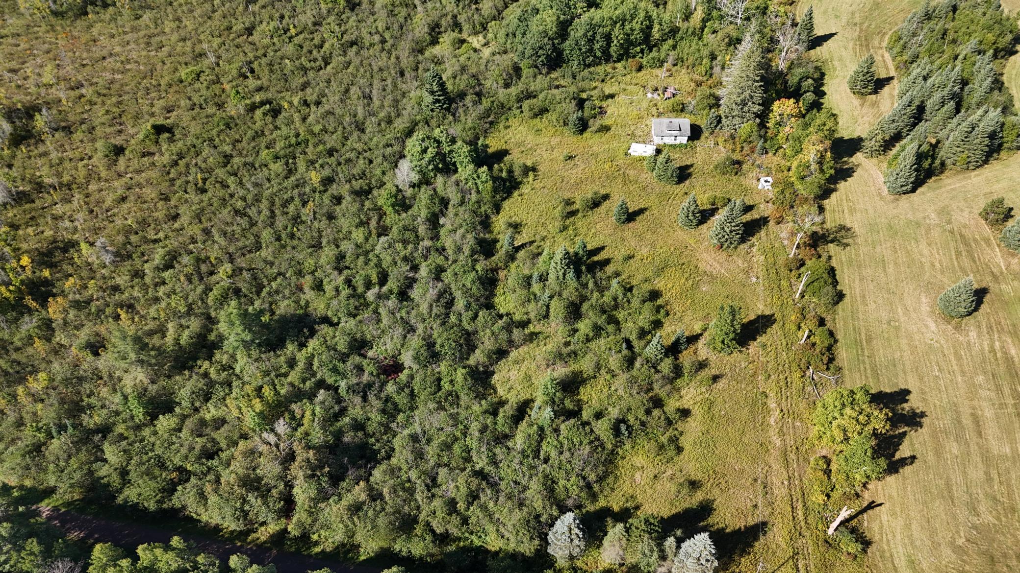 Tbd Salo Rd Property Photo 9
