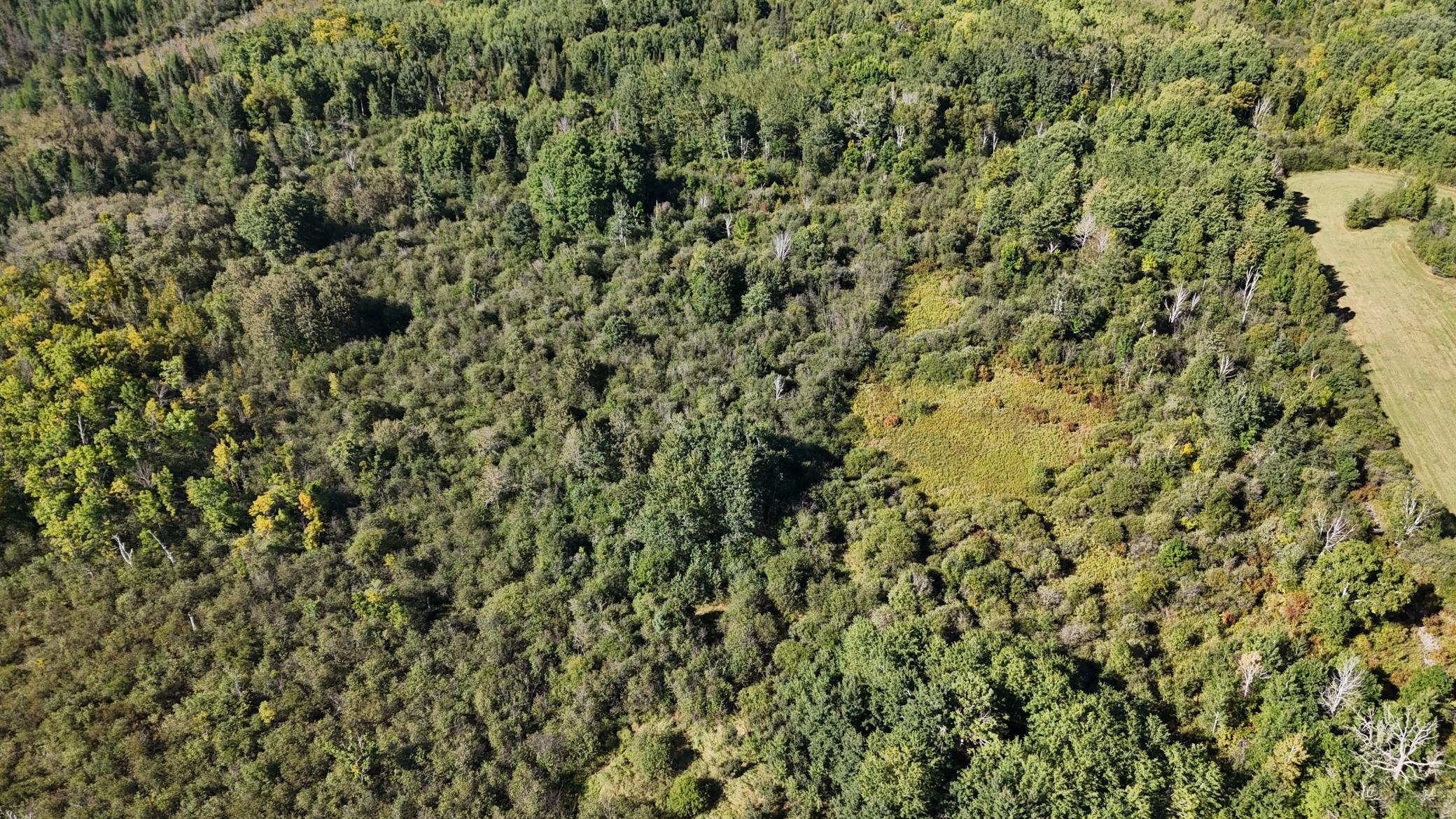 Tbd Salo Rd Property Photo 10