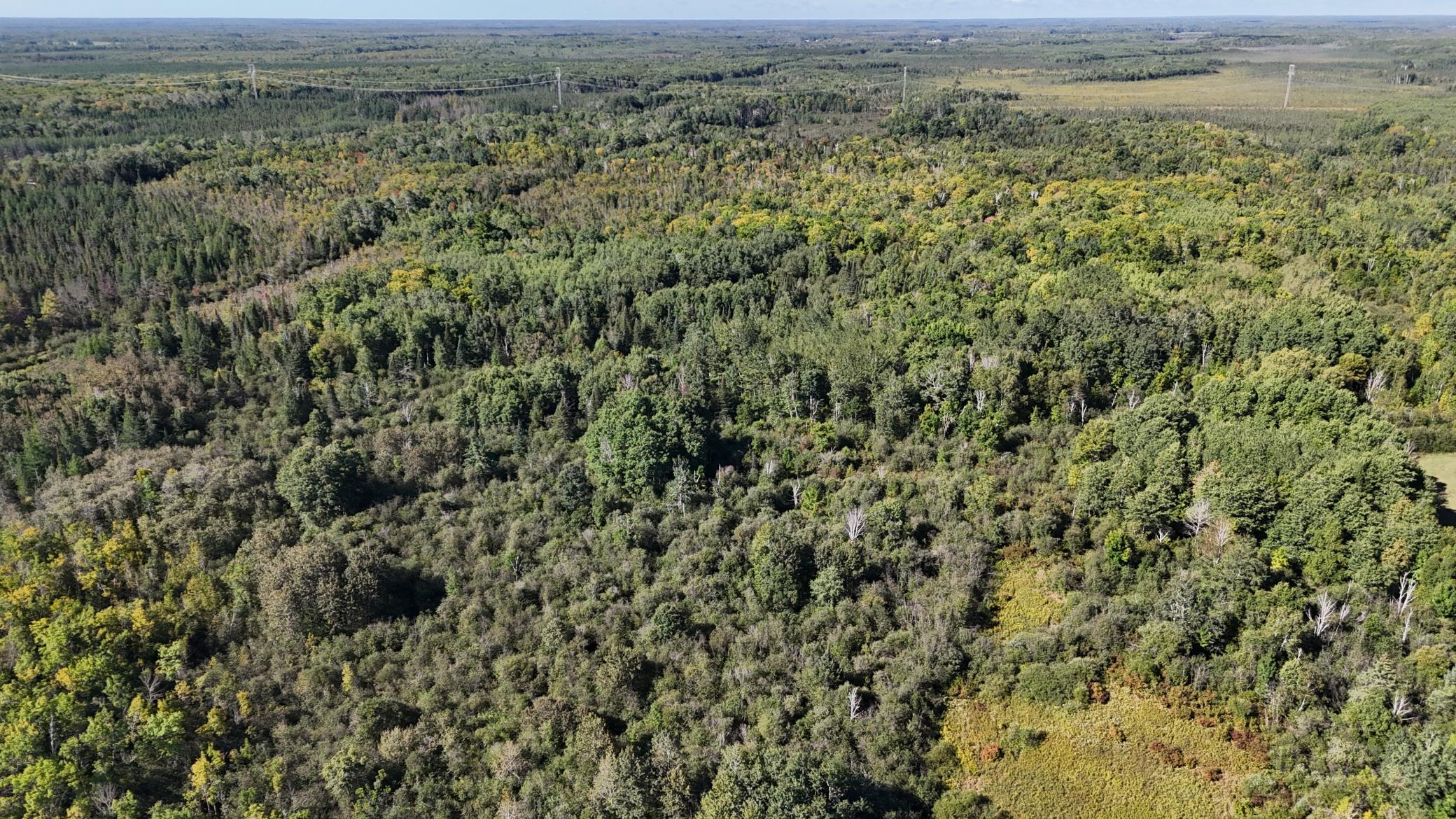 Tbd Salo Rd Property Photo 11