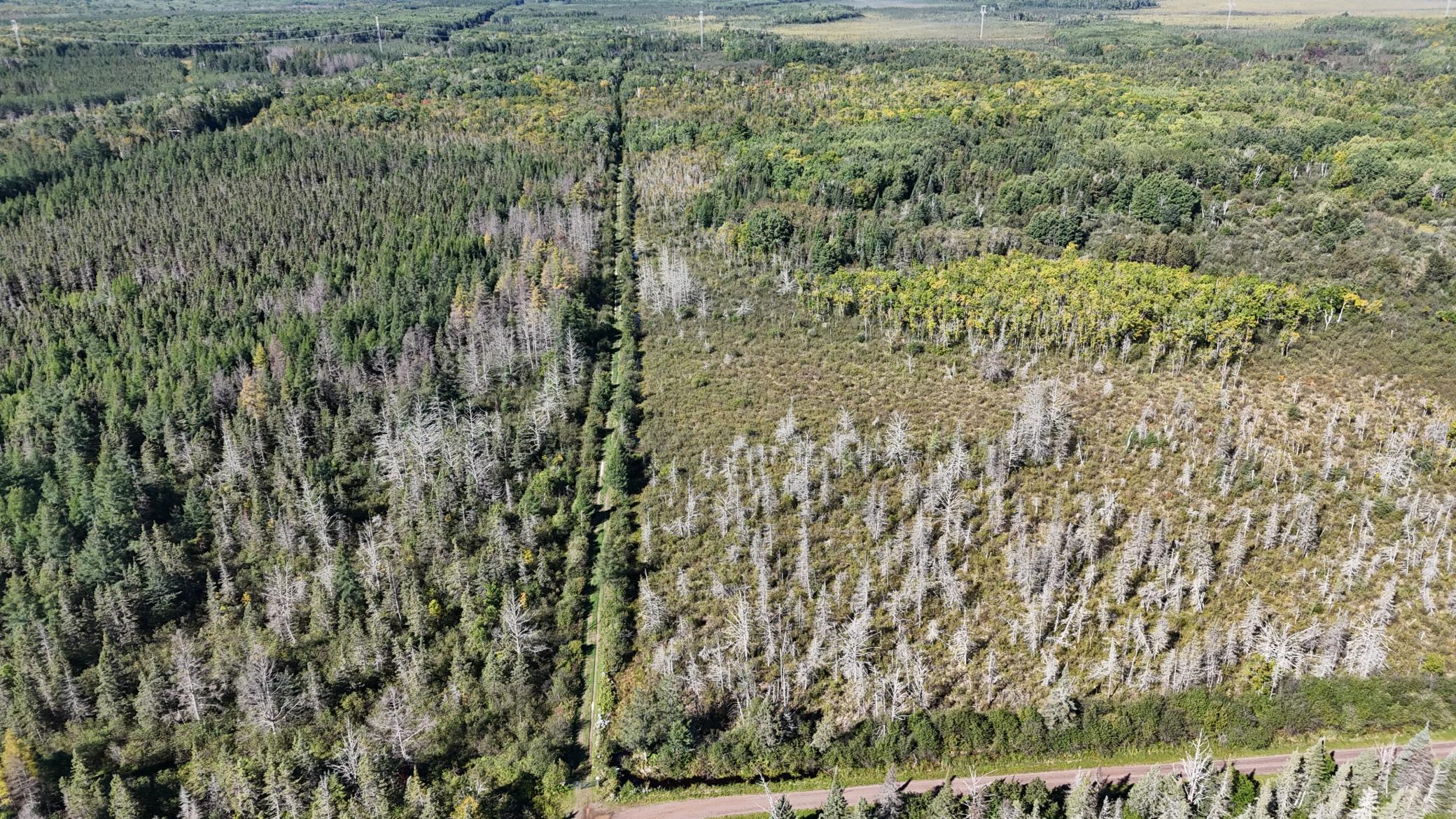 Tbd Salo Rd Property Photo 12