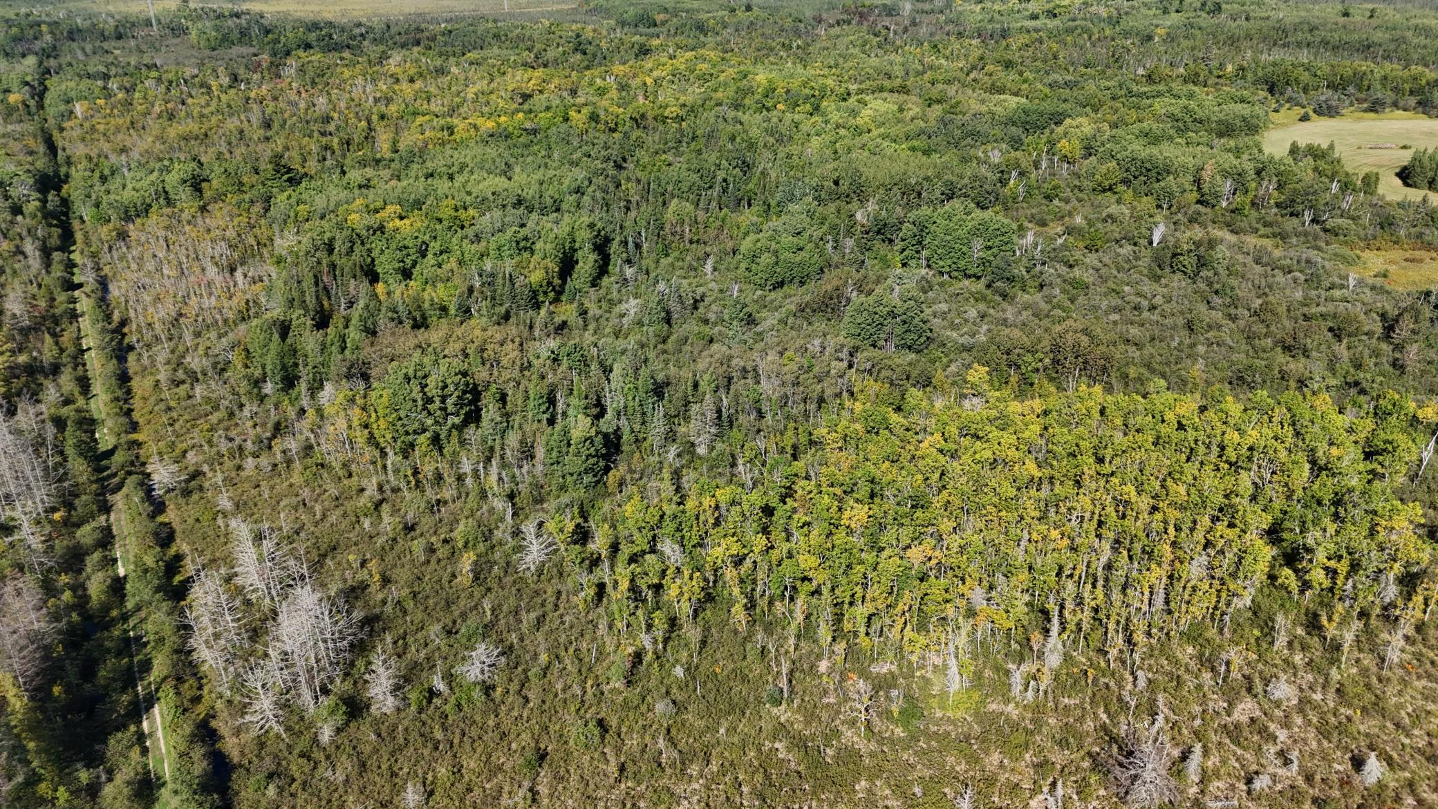 Tbd Salo Rd Property Photo 13