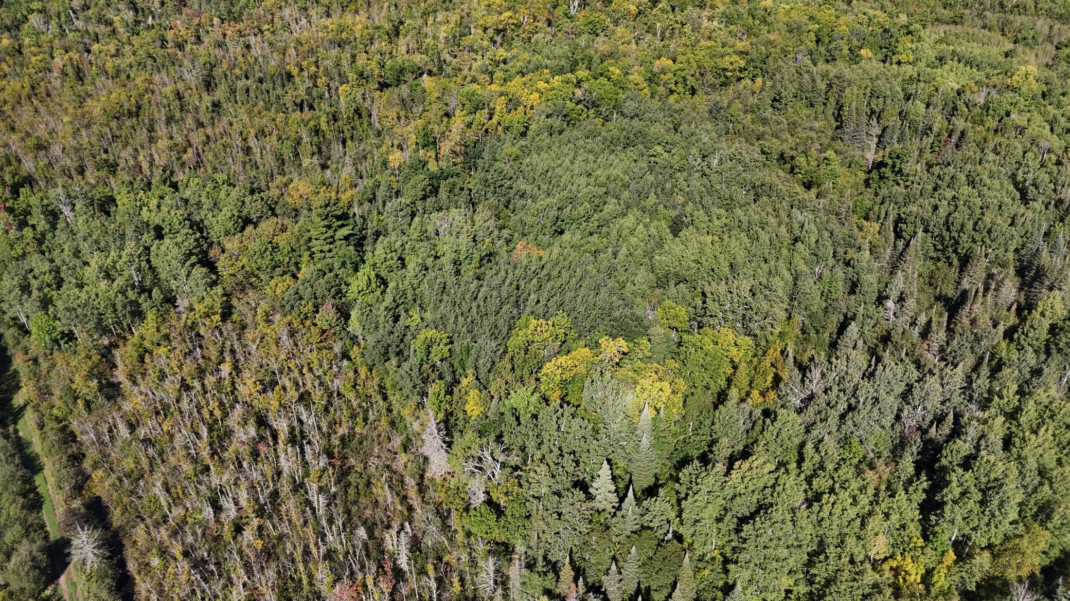 Tbd Salo Rd Property Photo 14