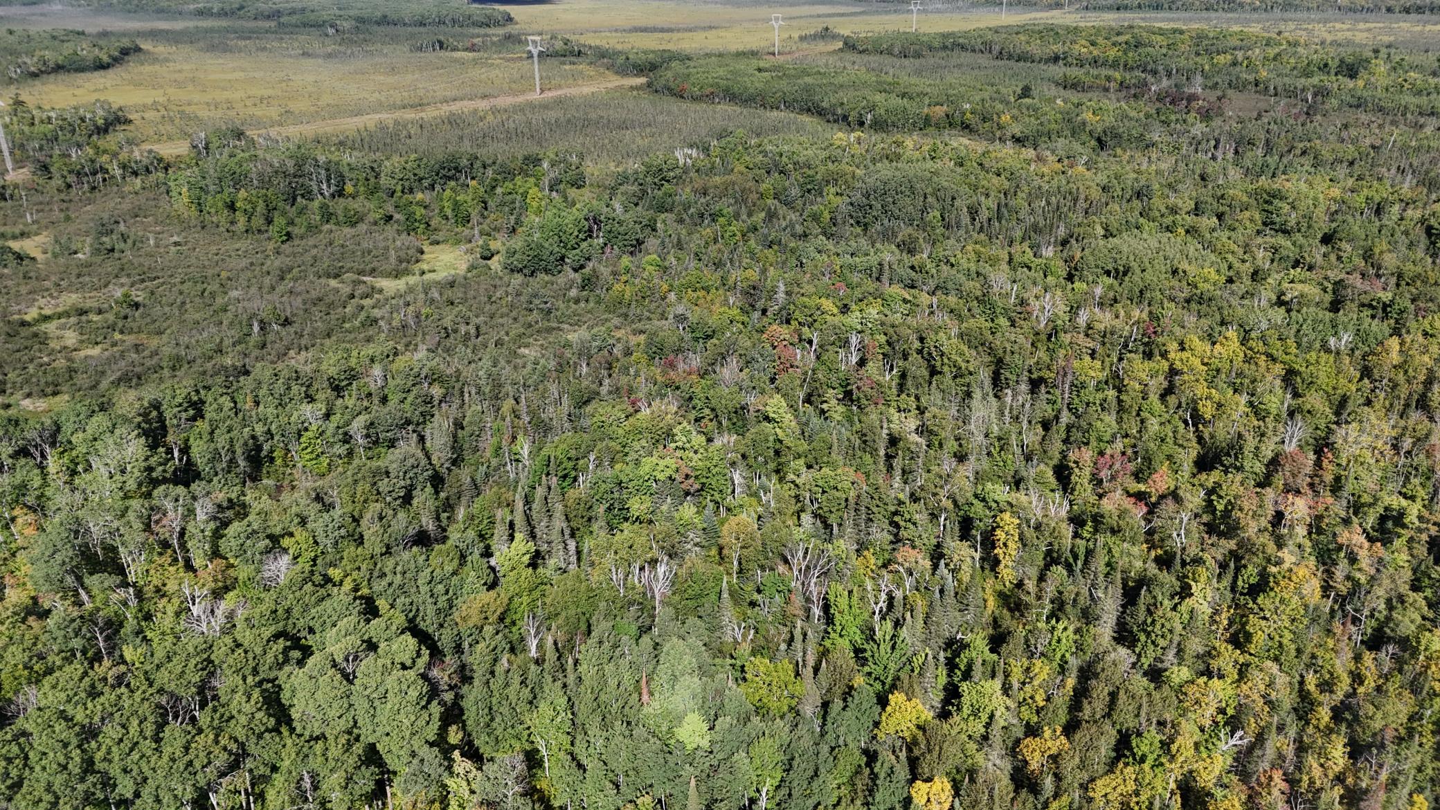 Tbd Salo Rd Property Photo 15