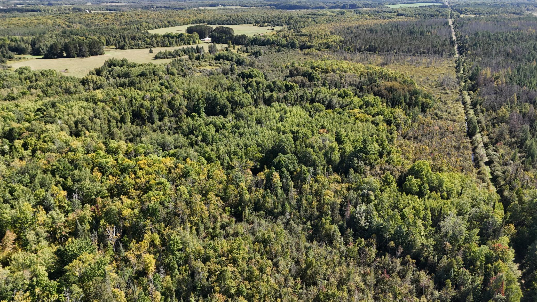 Tbd Salo Rd Property Photo 16