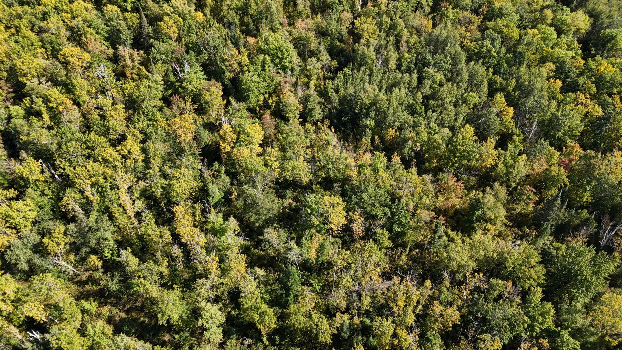 Tbd Salo Rd Property Photo 17