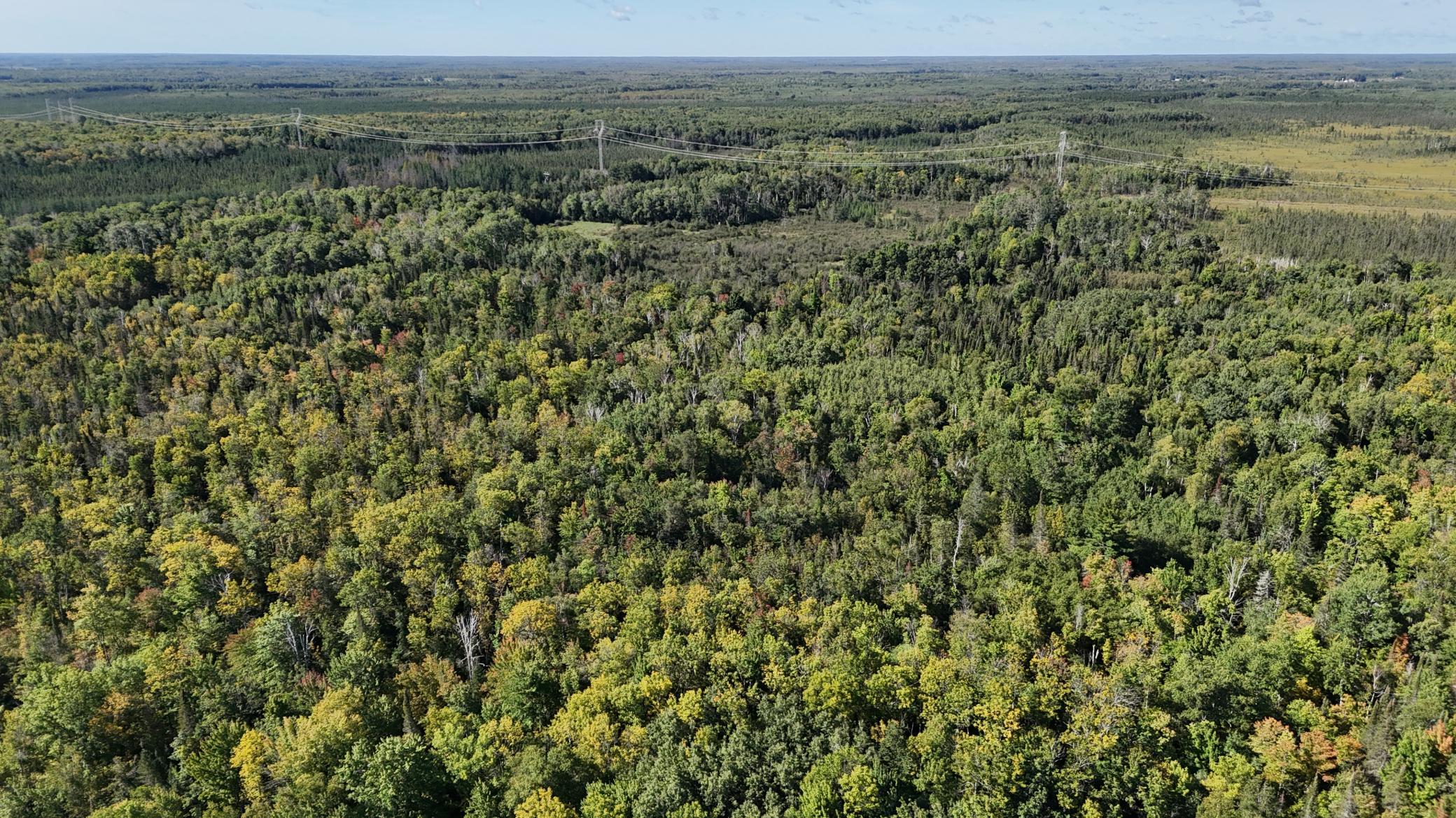 Tbd Salo Rd Property Photo 18