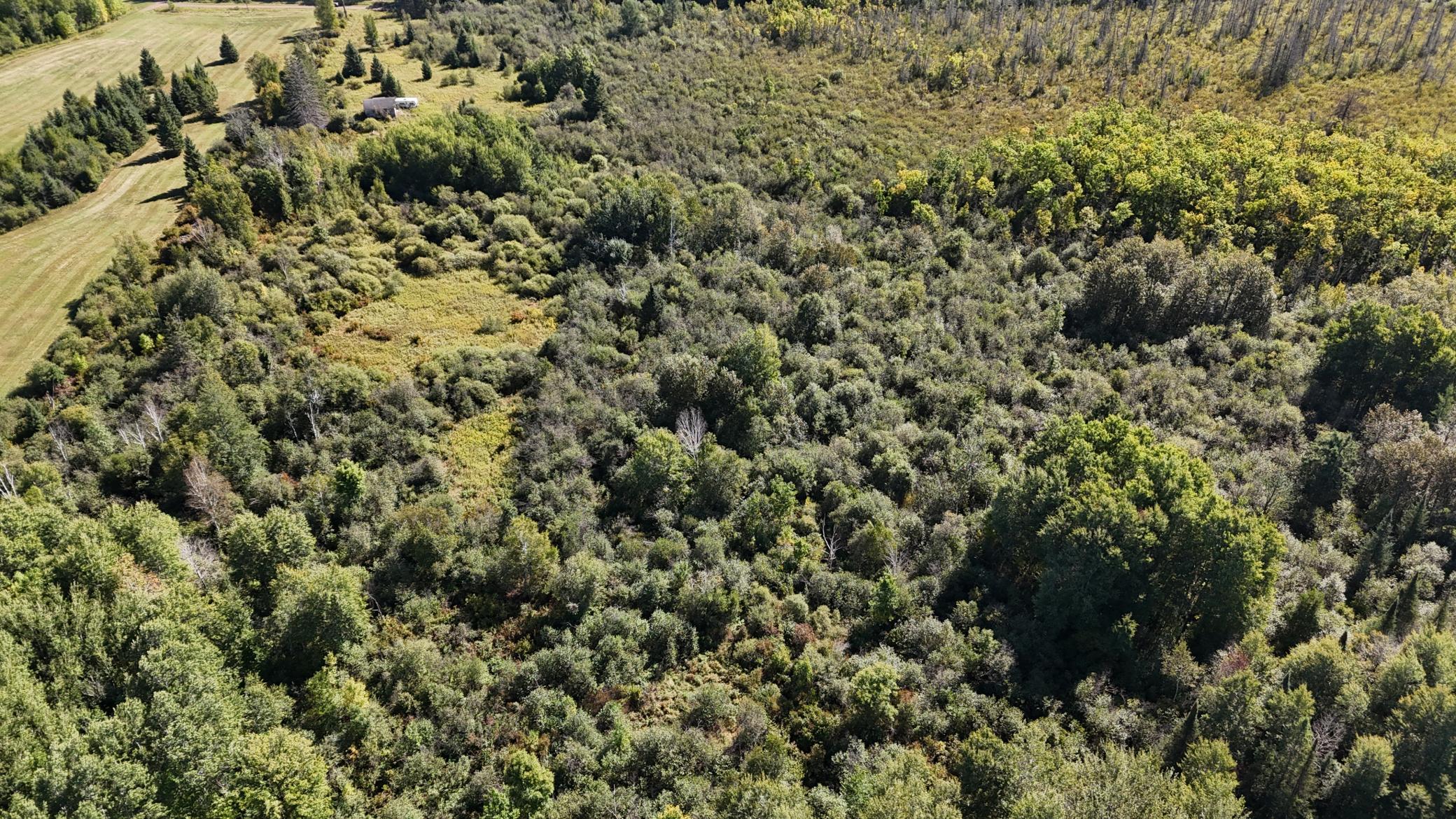 Tbd Salo Rd Property Photo 19