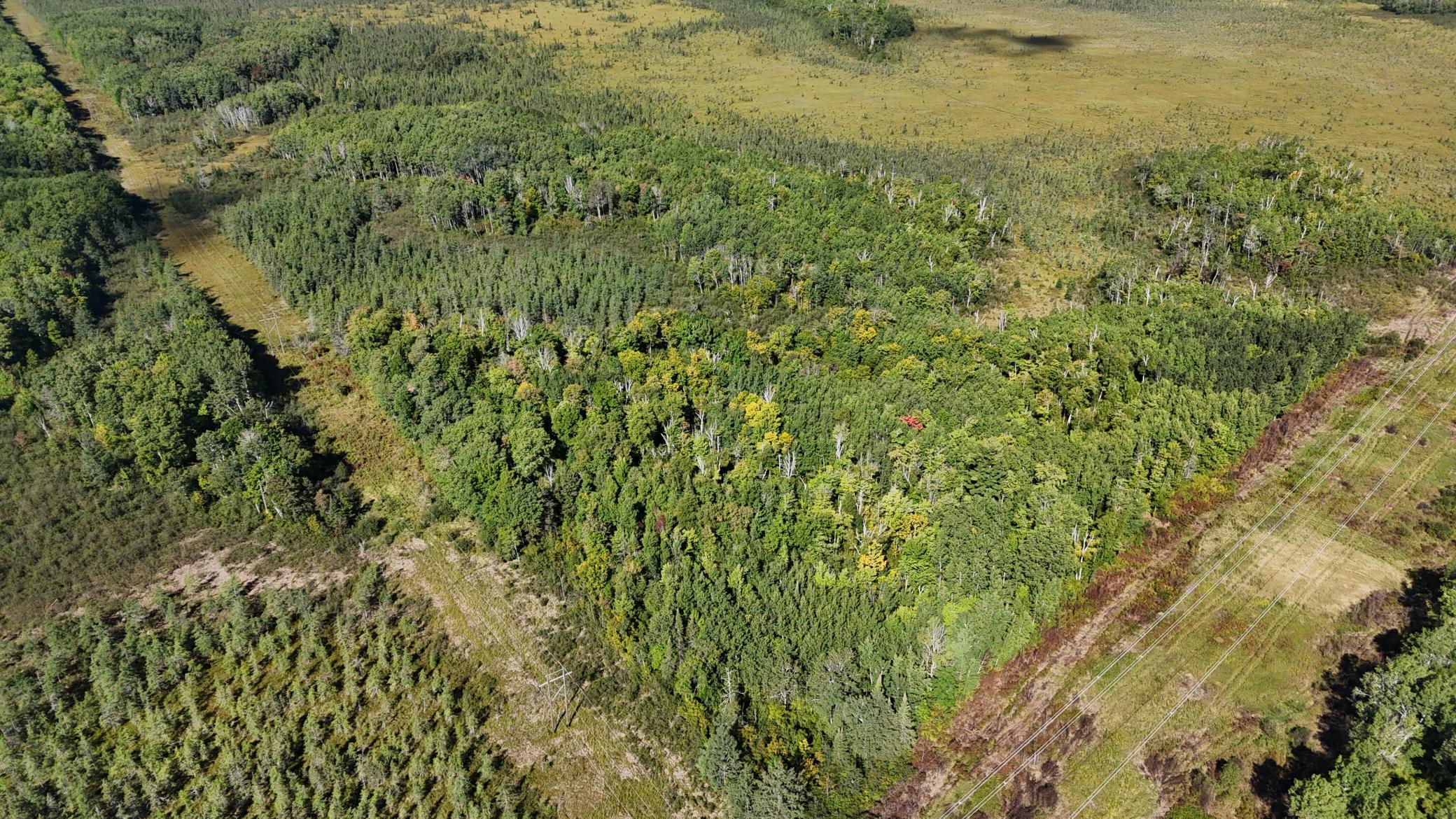Tbd Salo Rd Property Photo 22