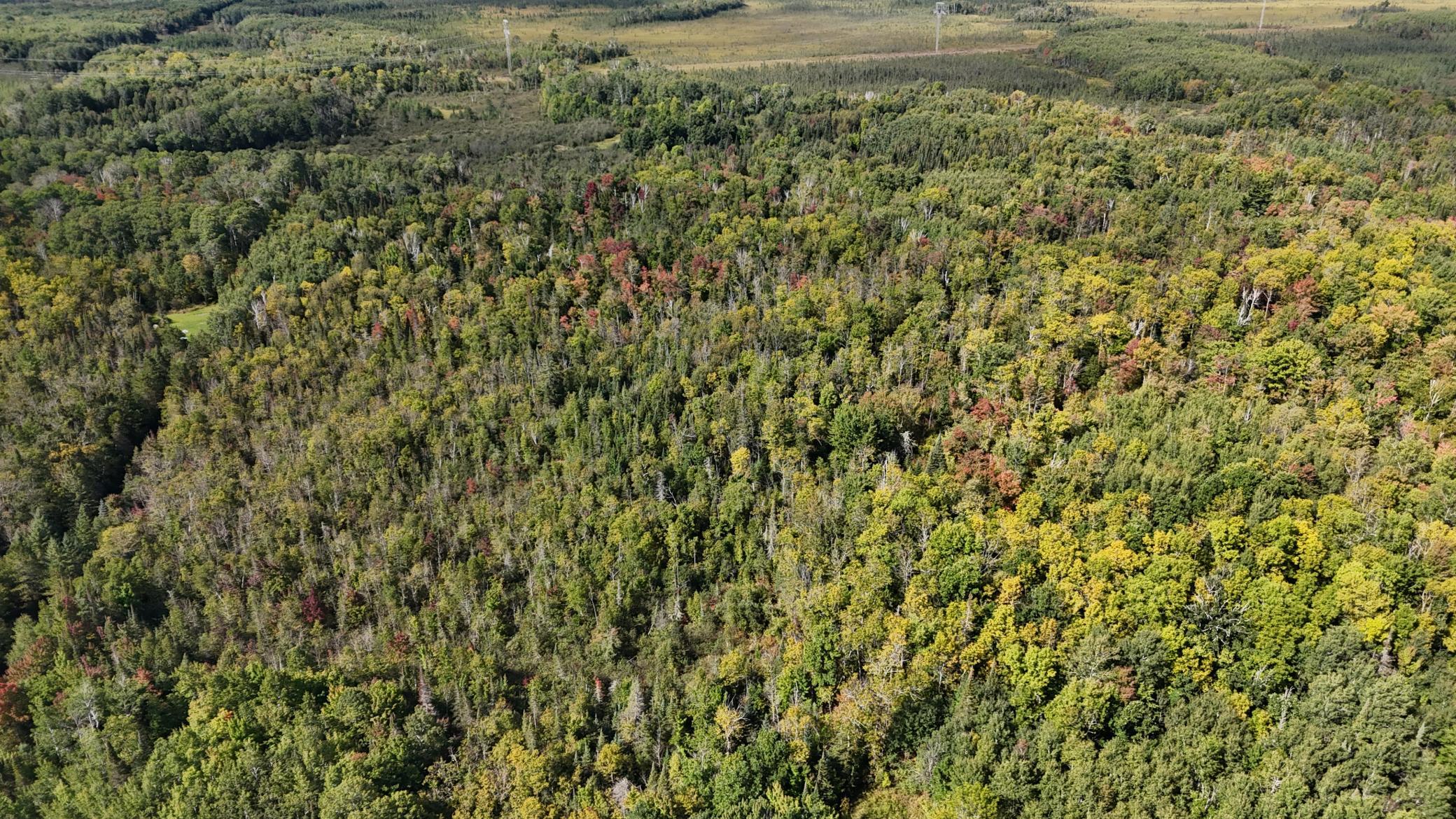 Tbd Salo Rd Property Photo 27