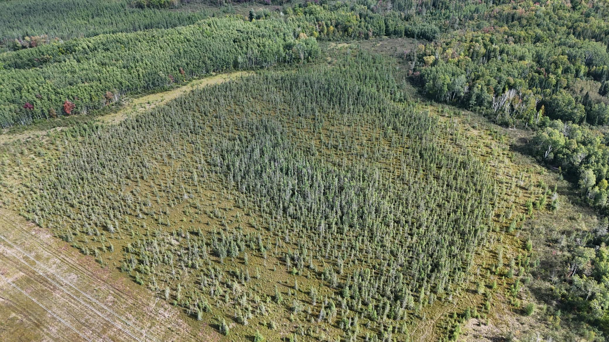 Tbd Salo Rd Property Photo 32