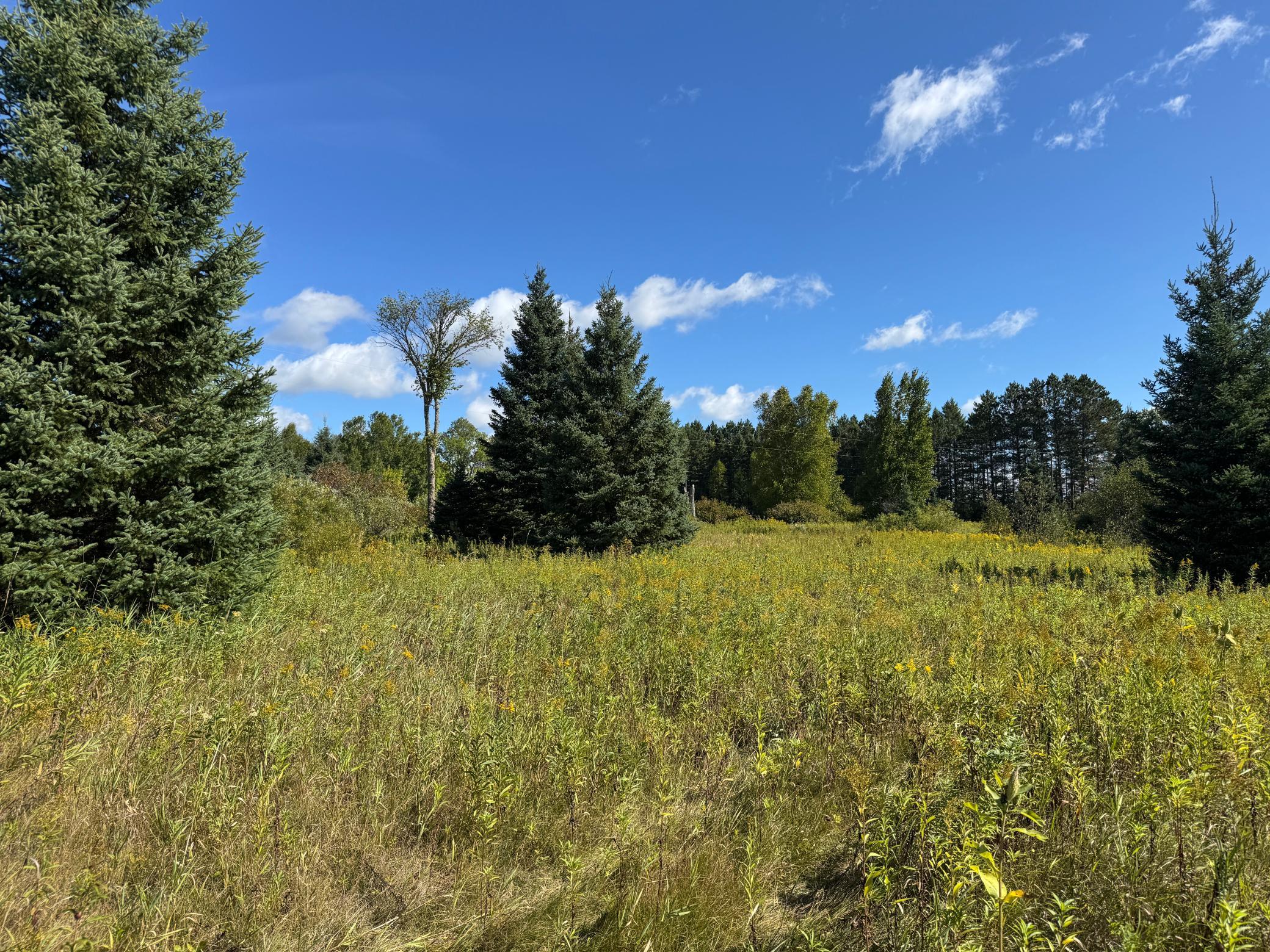 Tbd Salo Rd Property Photo 34