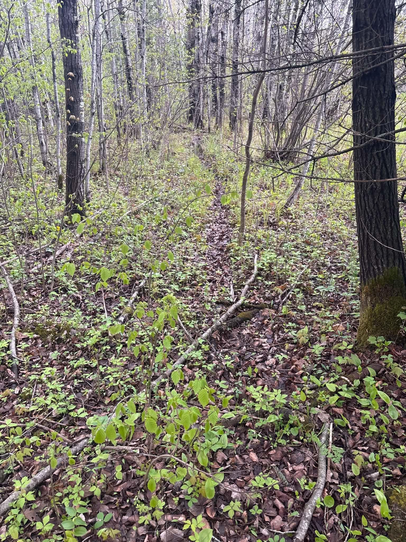 Tbd Salo Rd Property Photo 35
