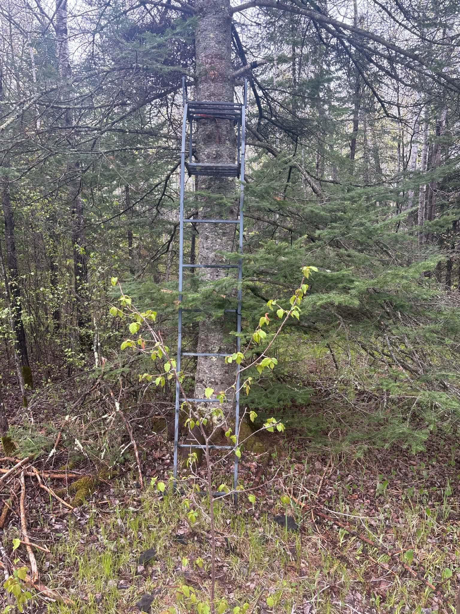 Tbd Salo Rd Property Photo 36
