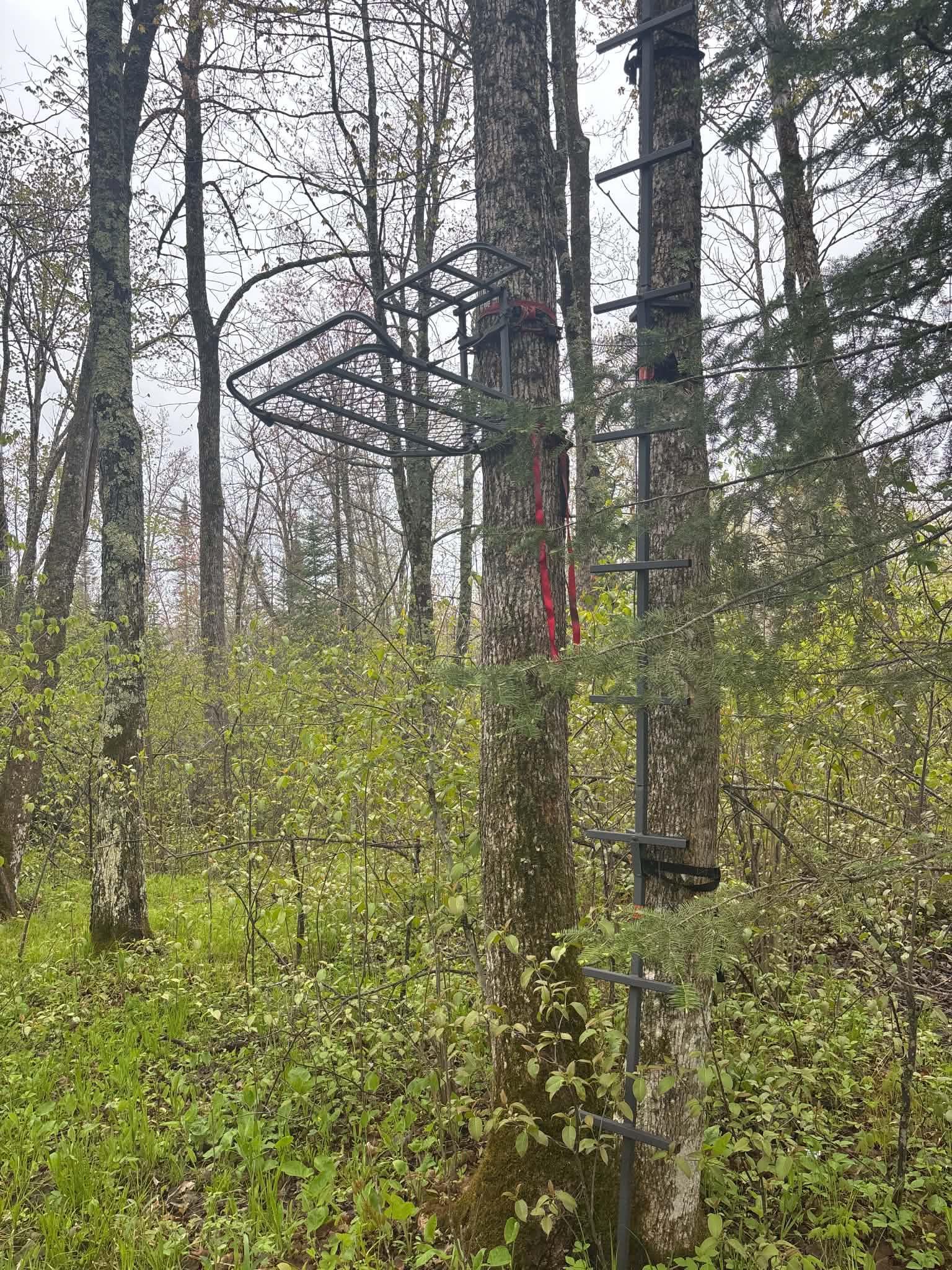 Tbd Salo Rd Property Photo 37