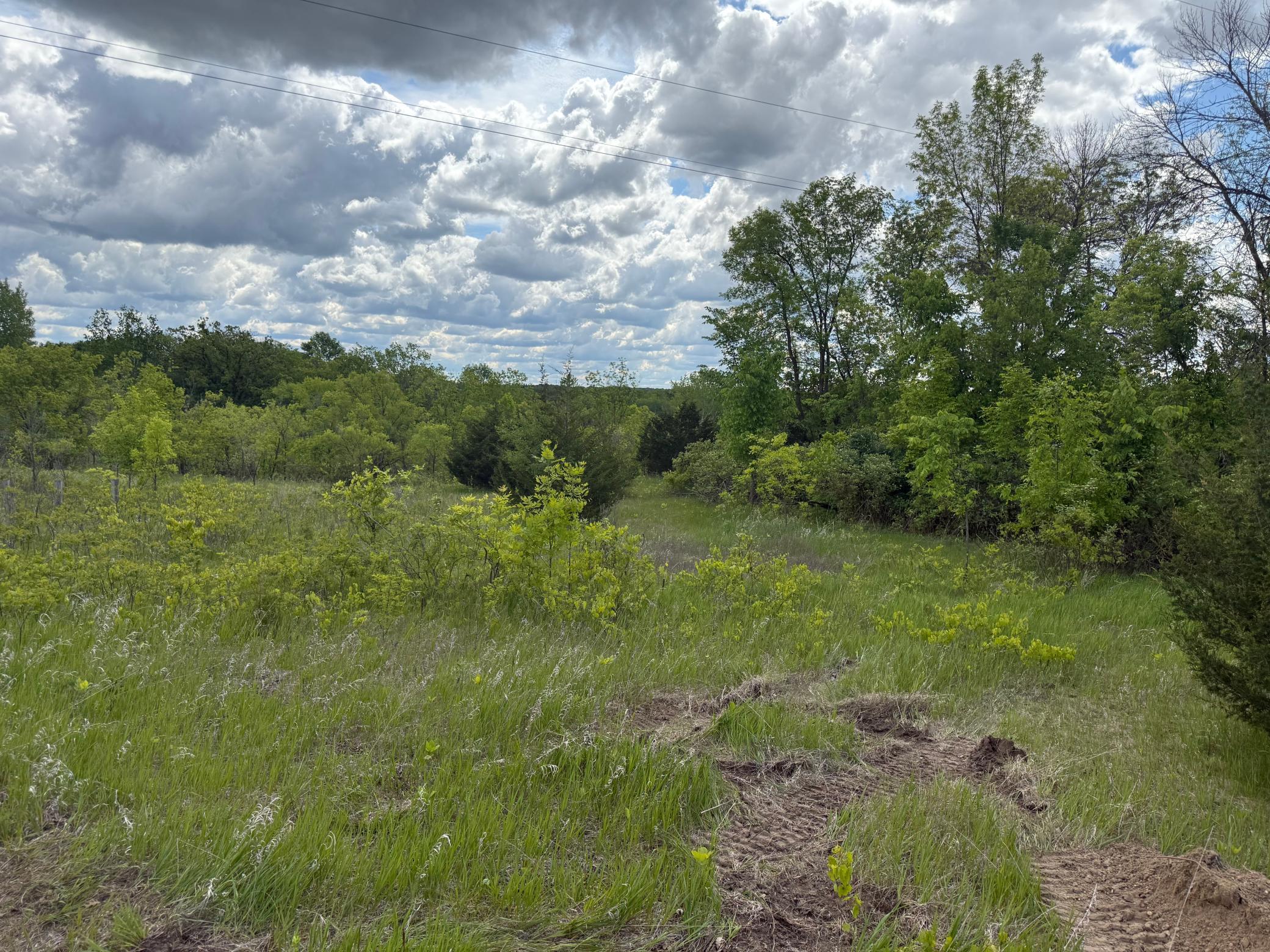 10485 4th Street Ne Property Photo 5
