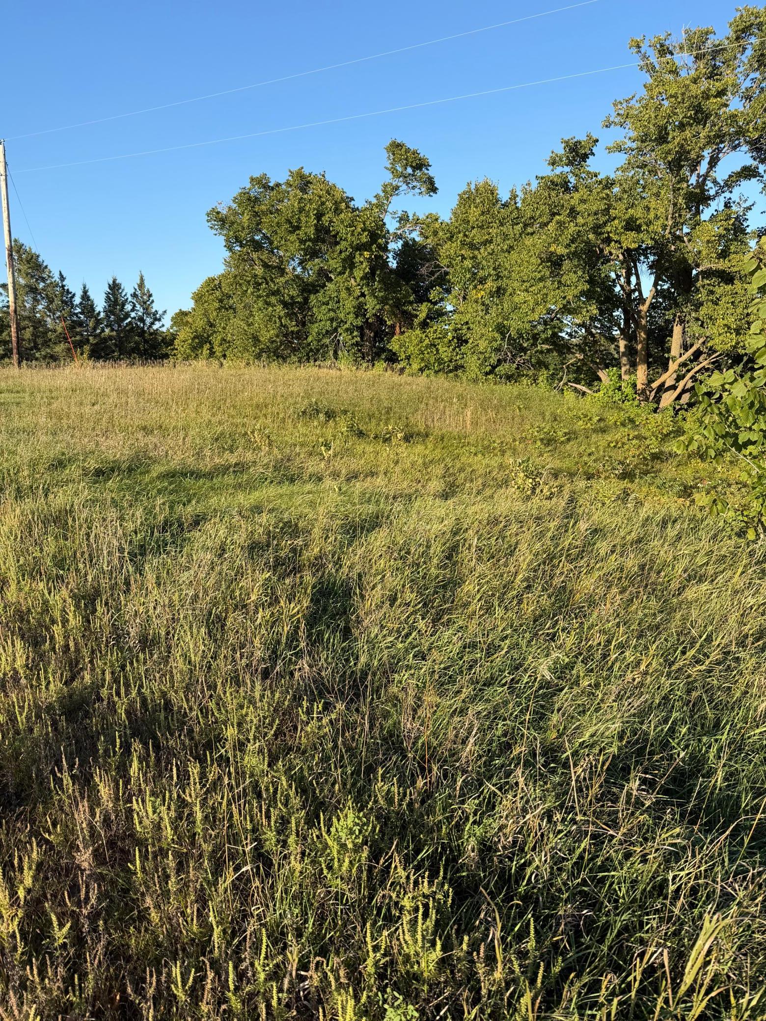 40740 Placid Drive Property Photo 15