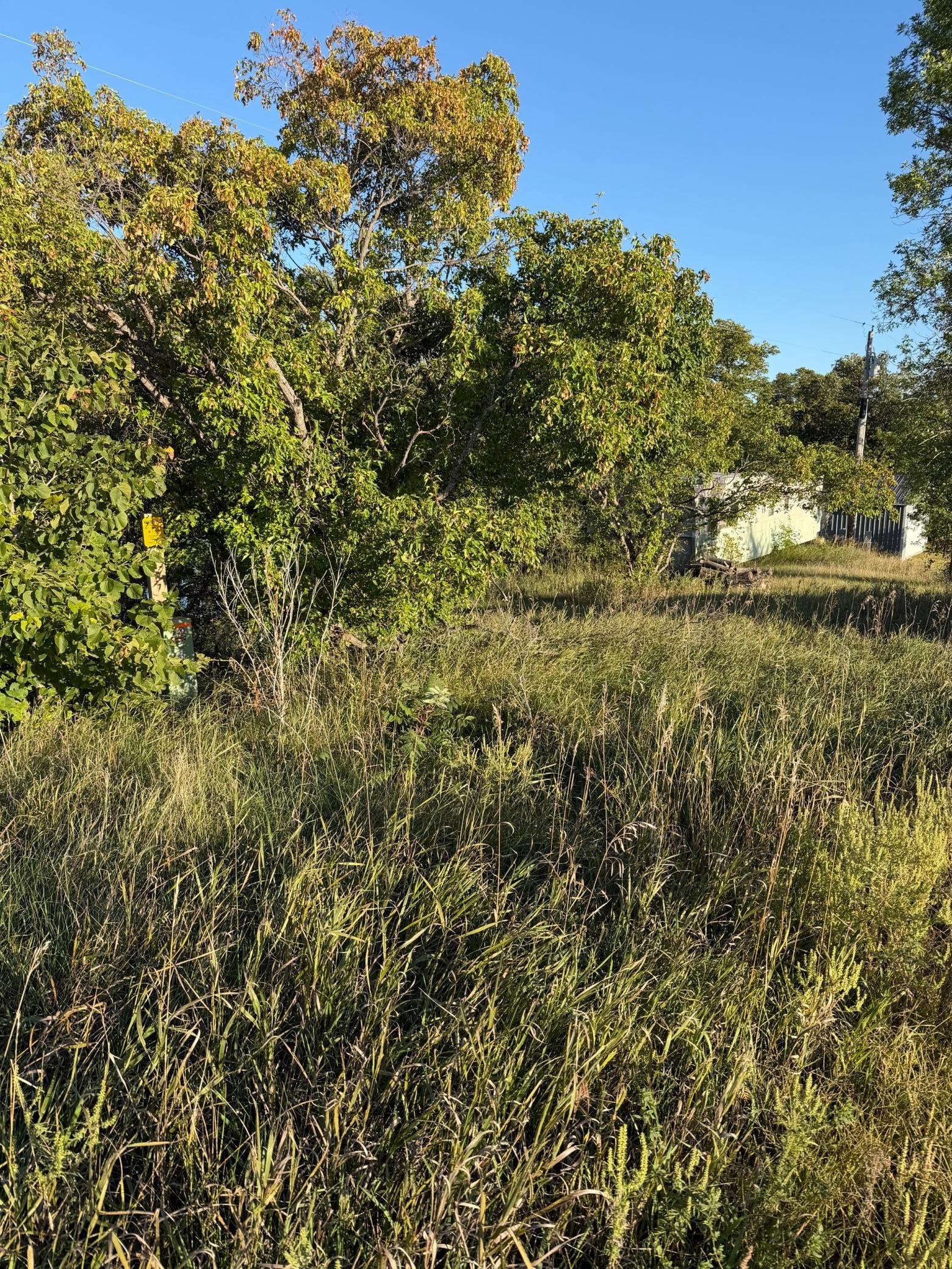 40740 Placid Drive Property Photo 16