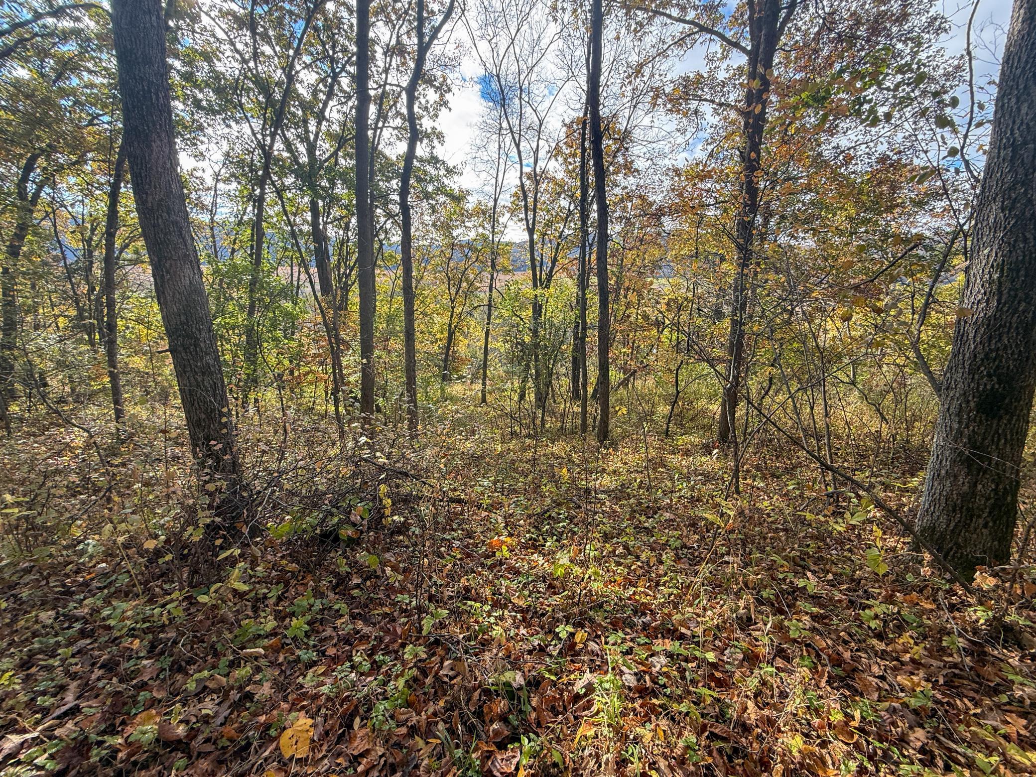Tbd County 26 Property Photo 11