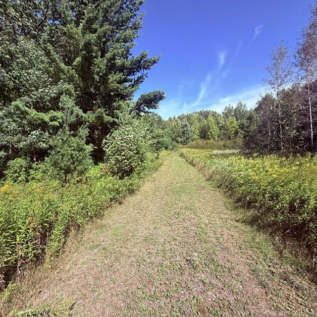 Tbd W Lilja Avenue Property Photo 1
