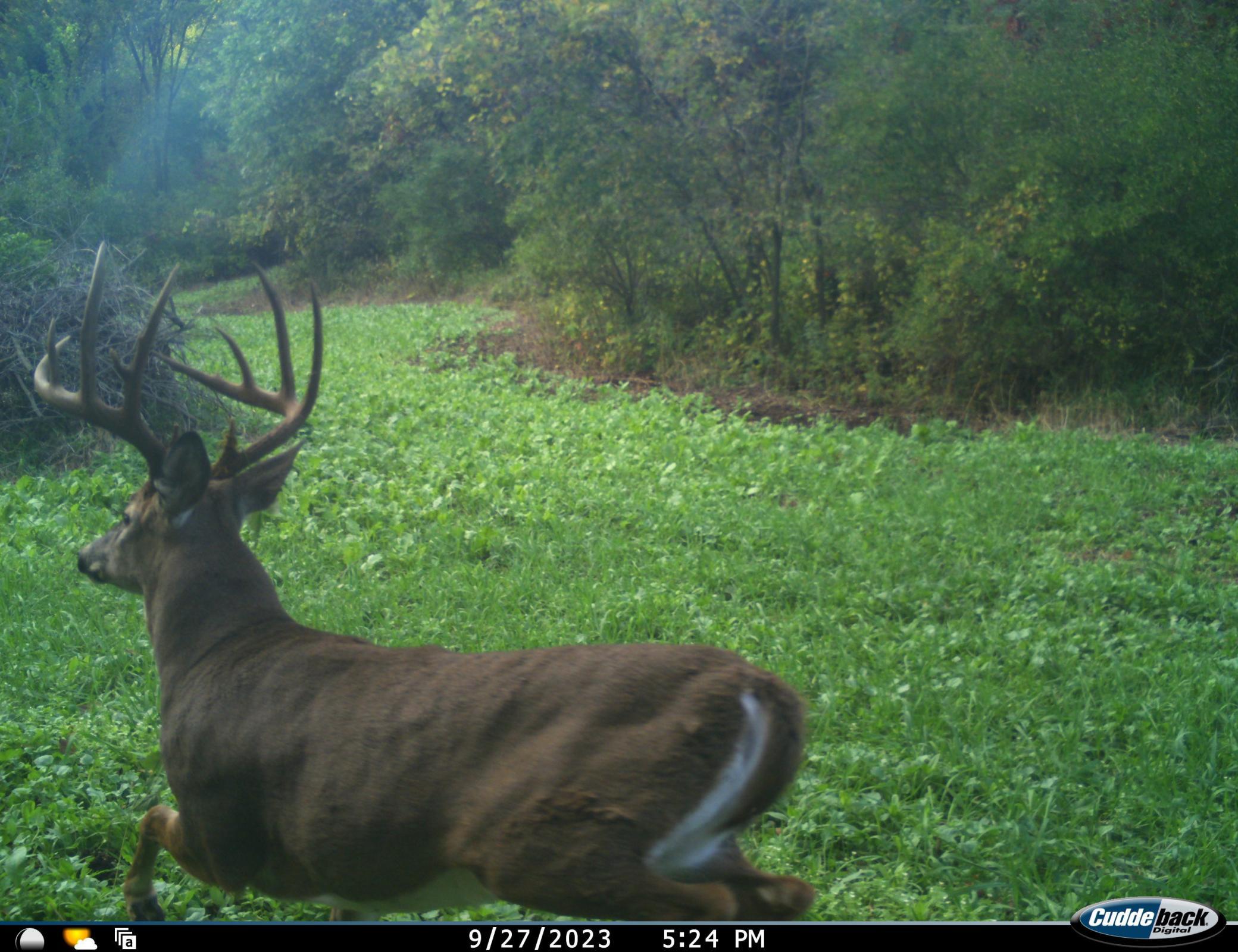0 County Rd Dd Property Photo 1