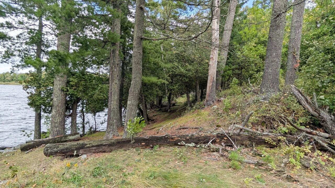 4801 Ambassador Point Road Property Photo 18