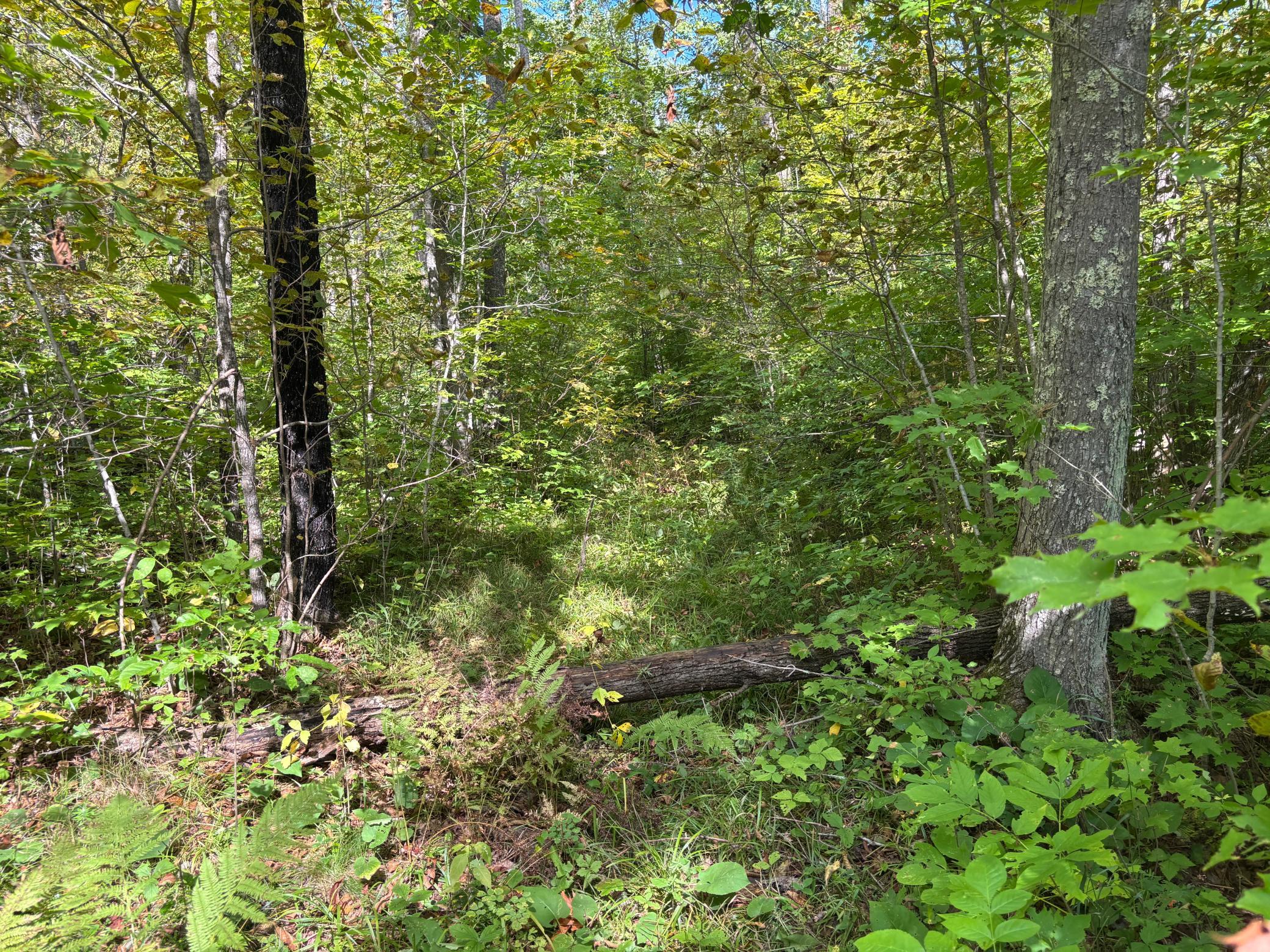 TBD 235th Place Property Photo 1
