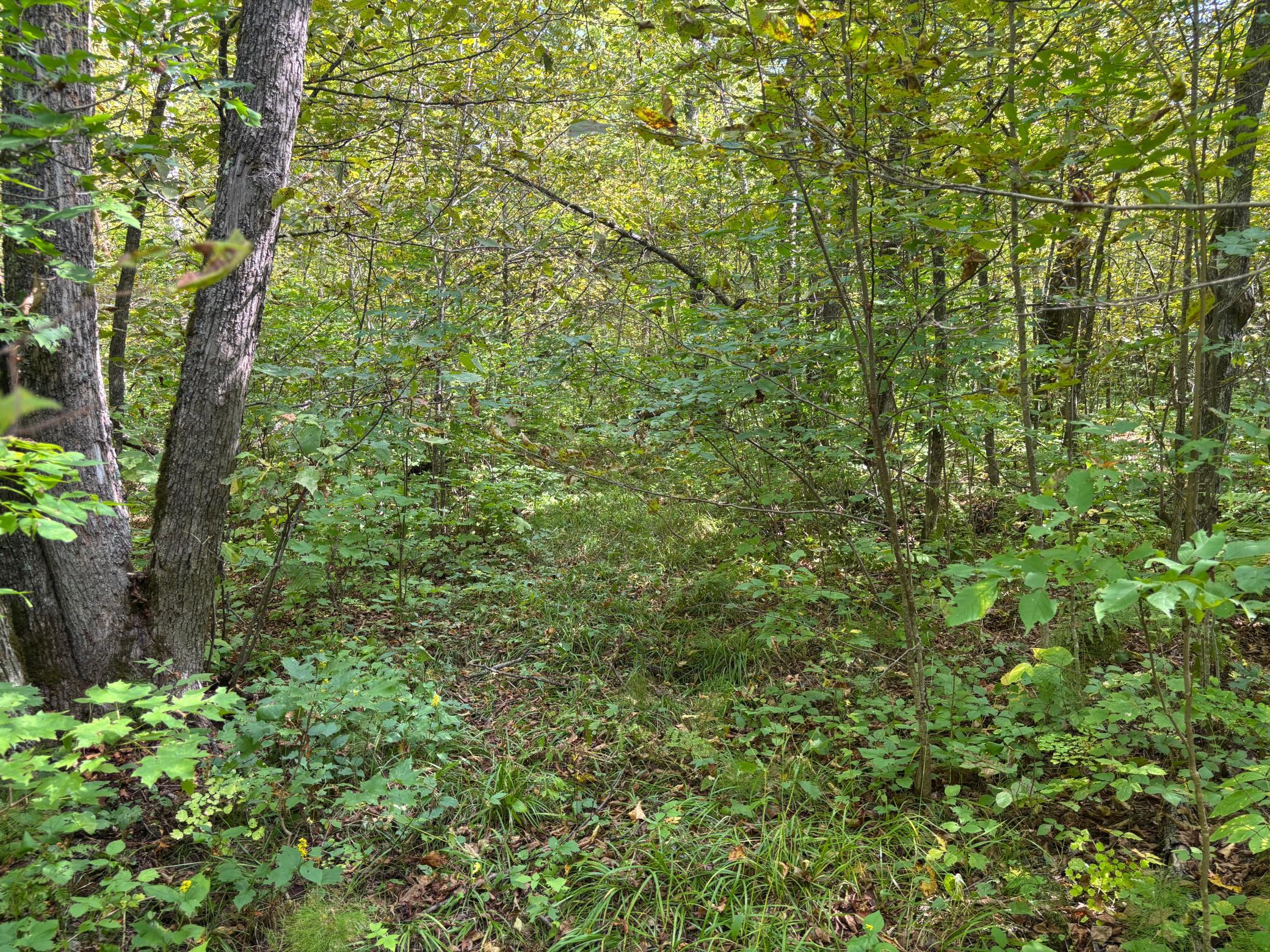 Tbd 235th Place Property Photo 2