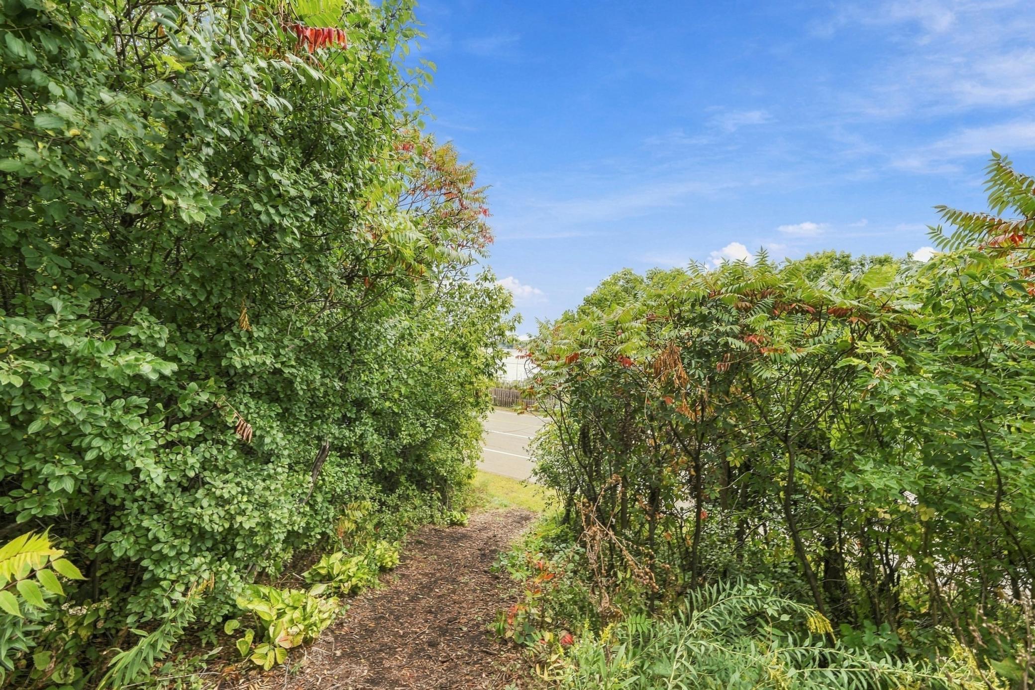 3143 Lafayette Ridge Road Property Photo 80