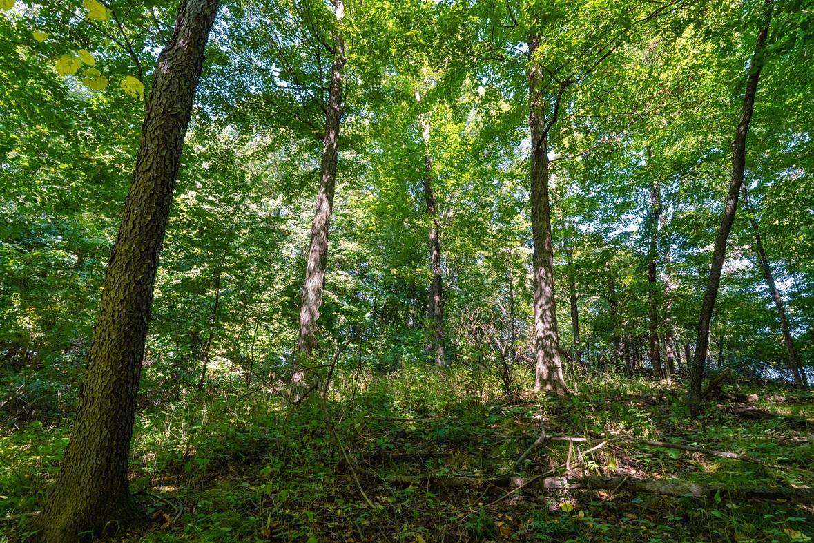 0 170th Street Property Photo 33